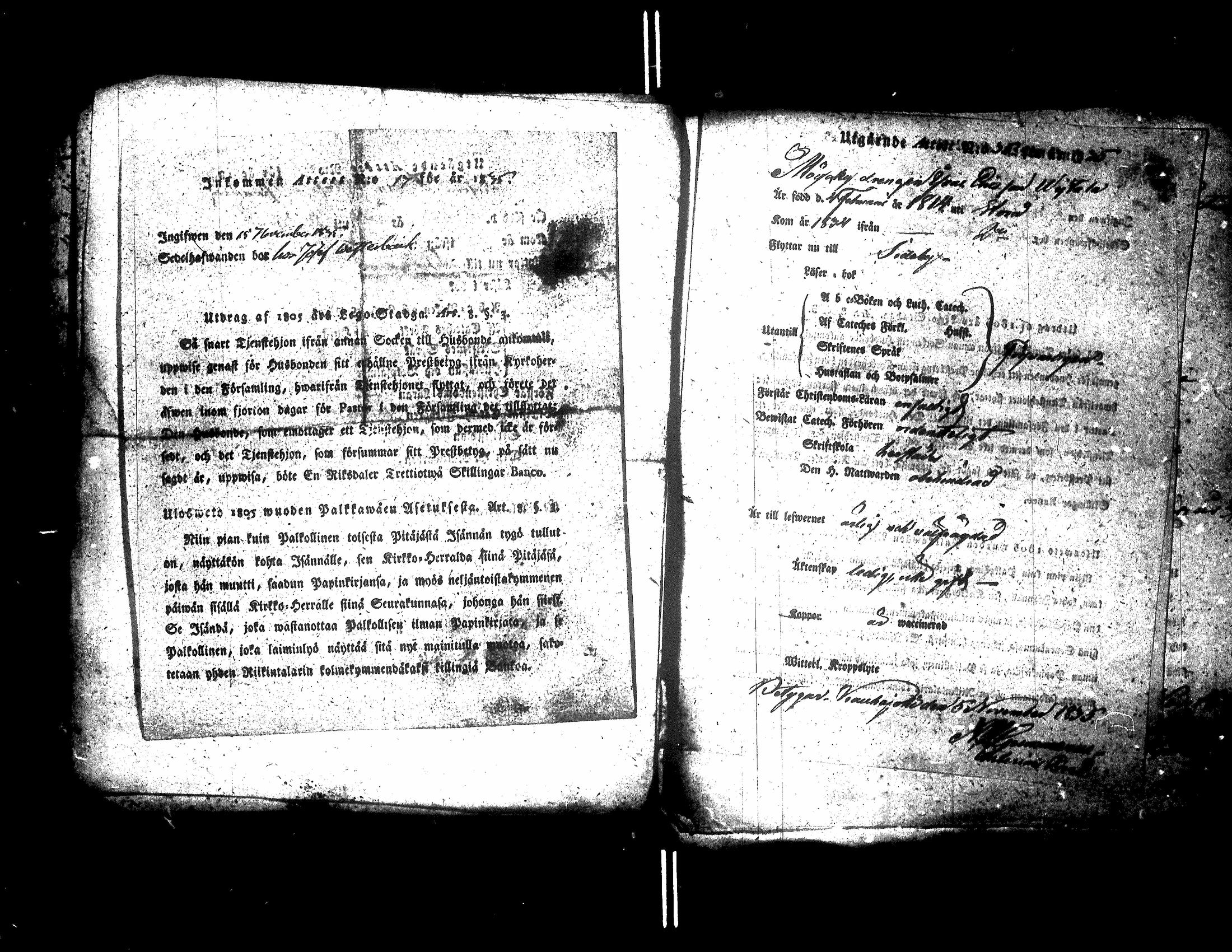 [ kuvat/425.jpg ]