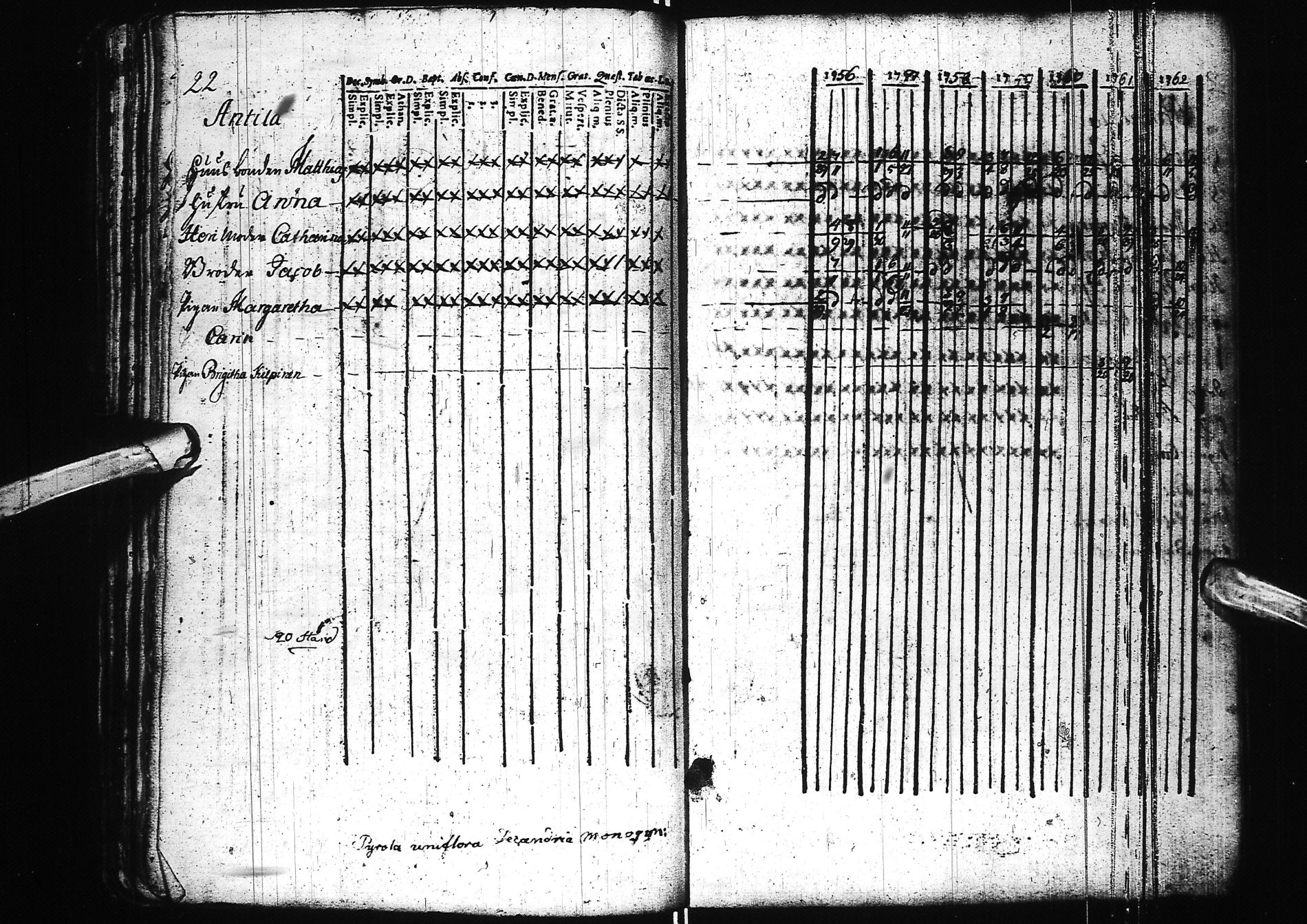 [ kuvat/56.jpg ]