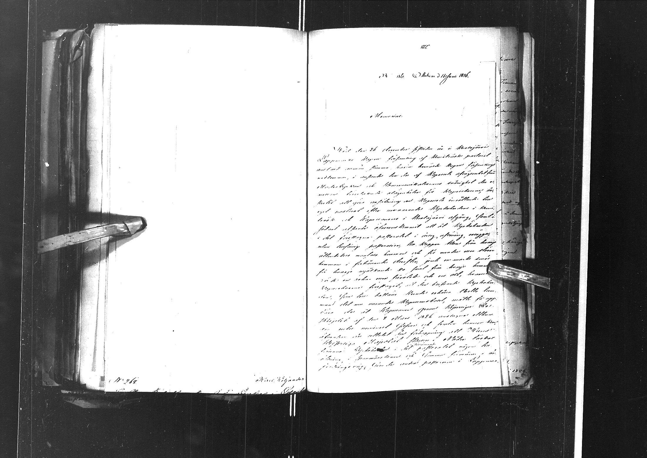 [ kuvat/407.jpg ]