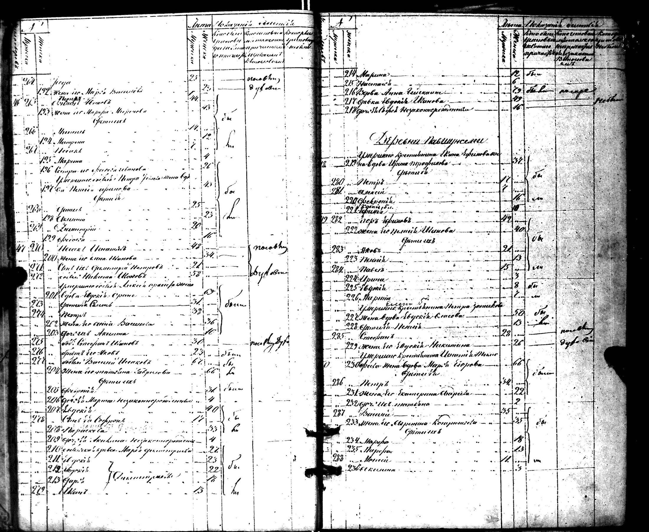 [ kuvat/291.jpg ]