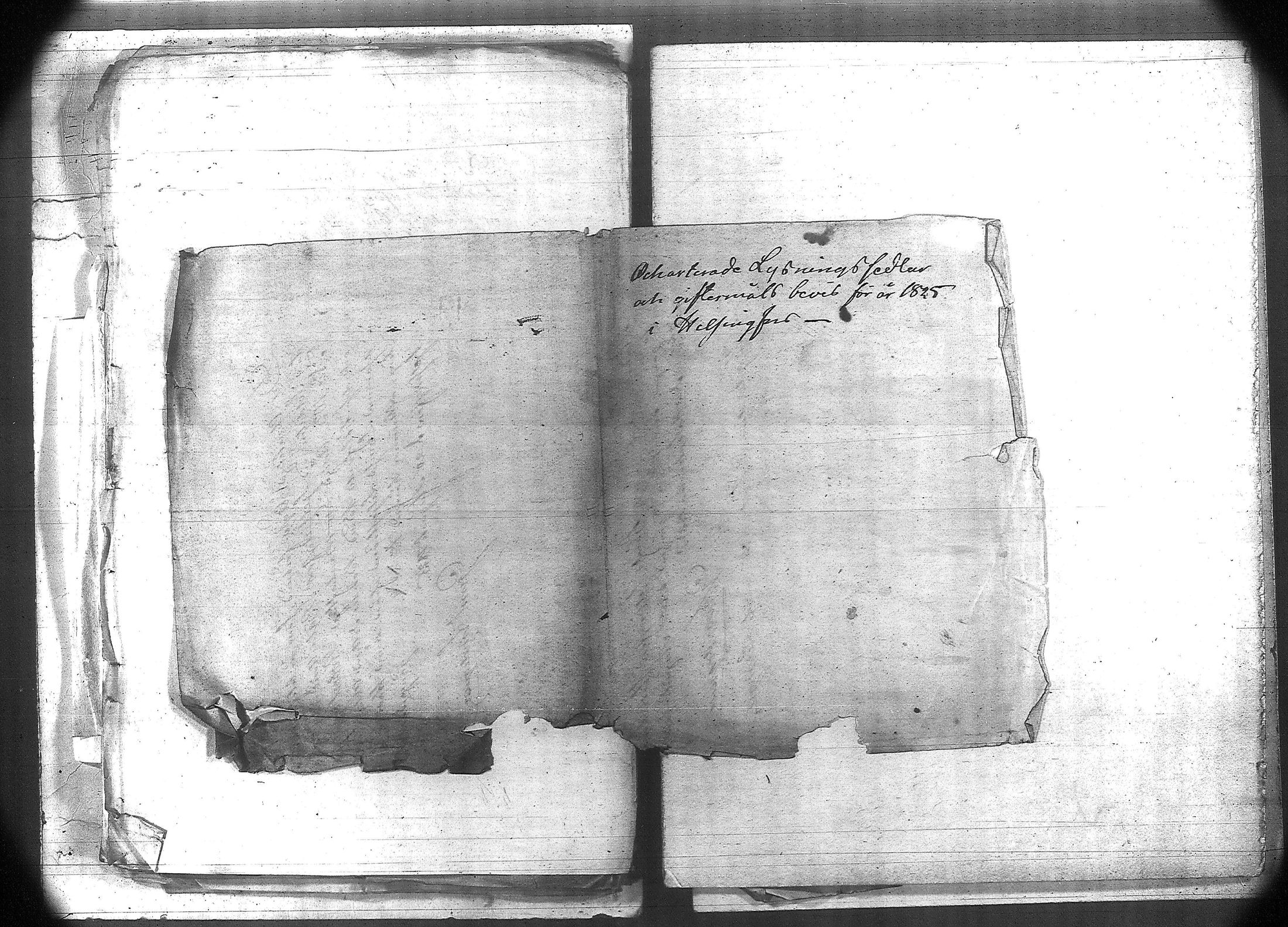 [ kuvat/113.jpg ]