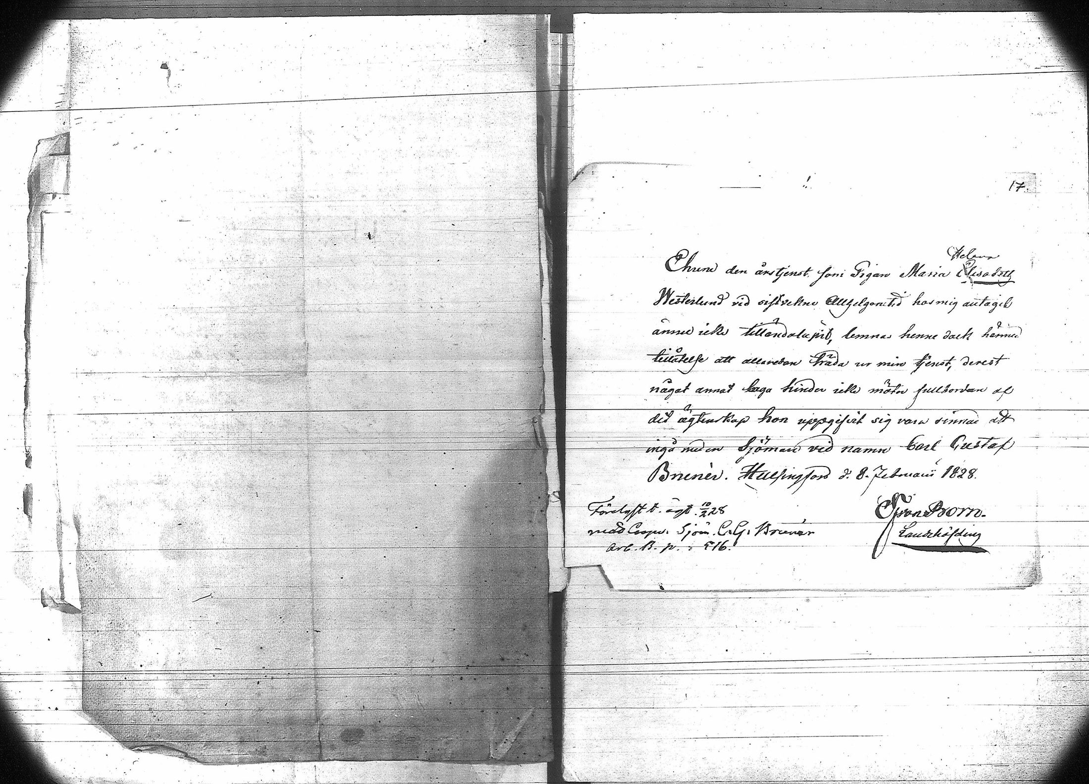 [ kuvat/19.jpg ]