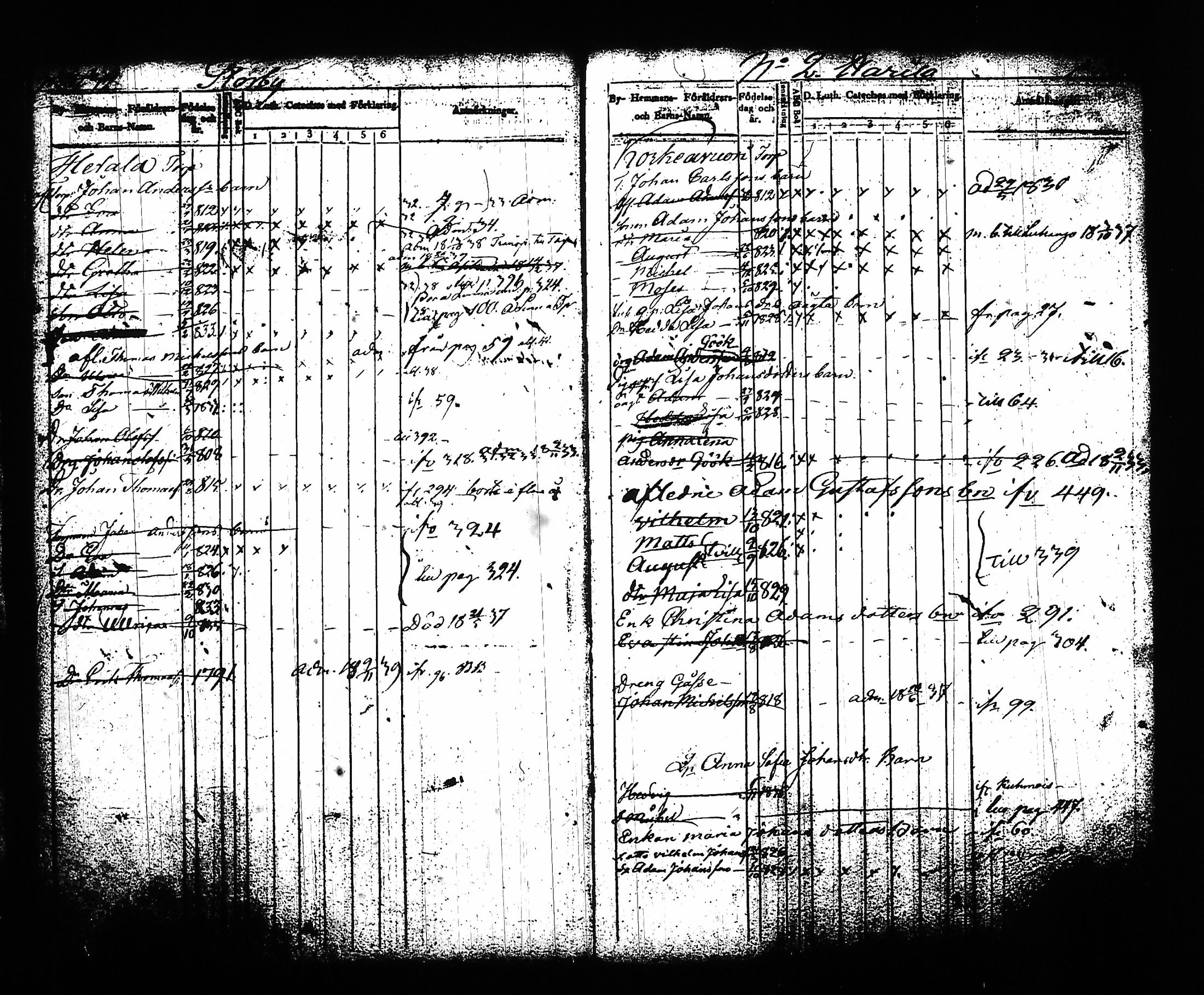[ kuvat/172.jpg ]