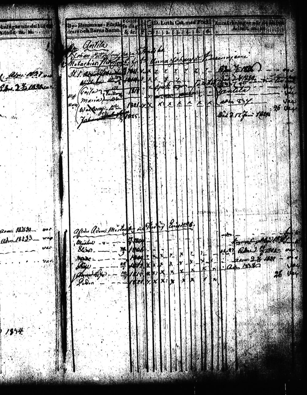 [ kuvat/211.jpg ]