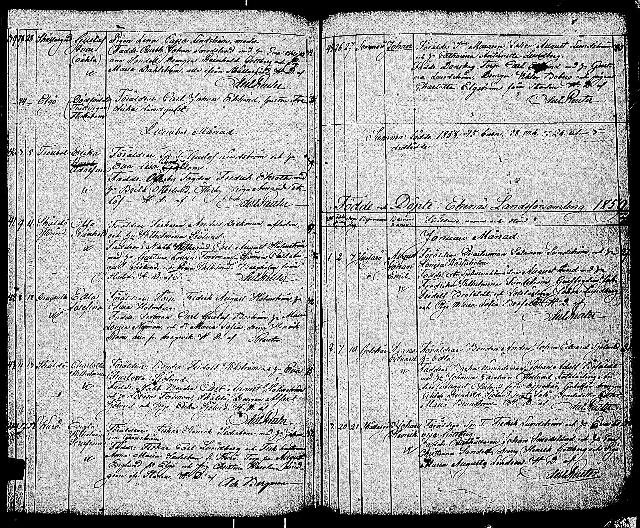 [ kuvat/192.jpg ]
