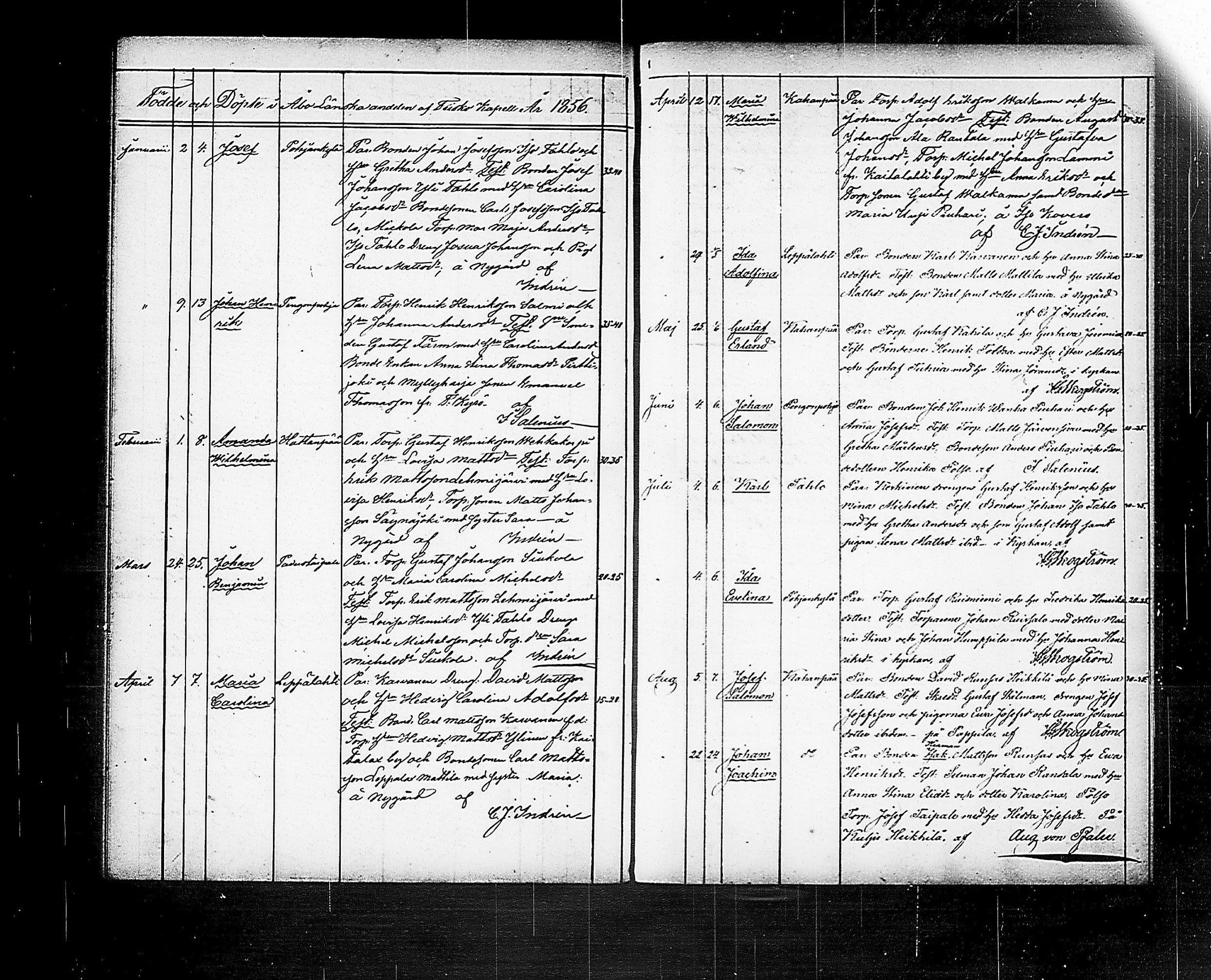 [ kuvat/176.jpg ]