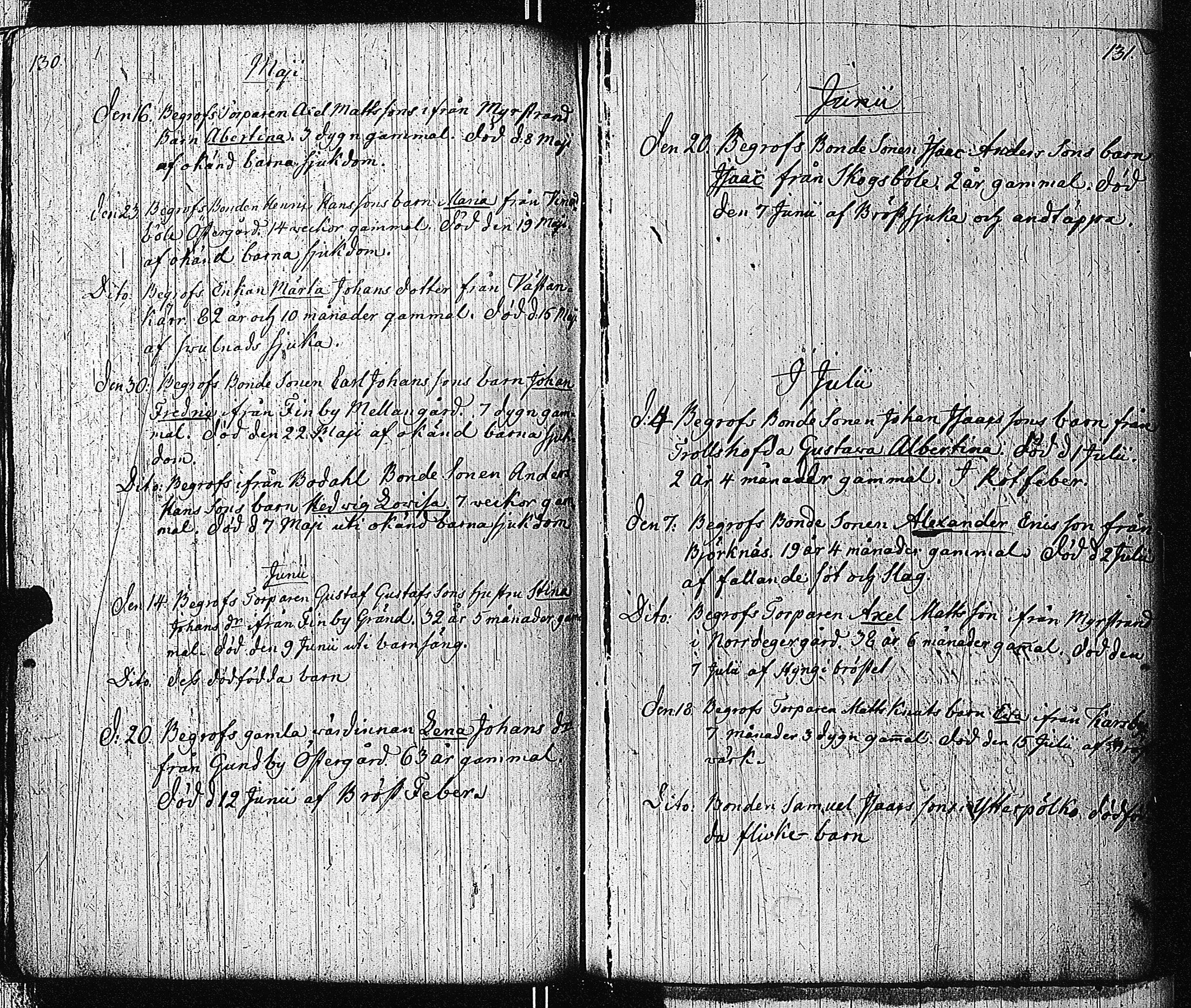 [ kuvat/127.jpg ]