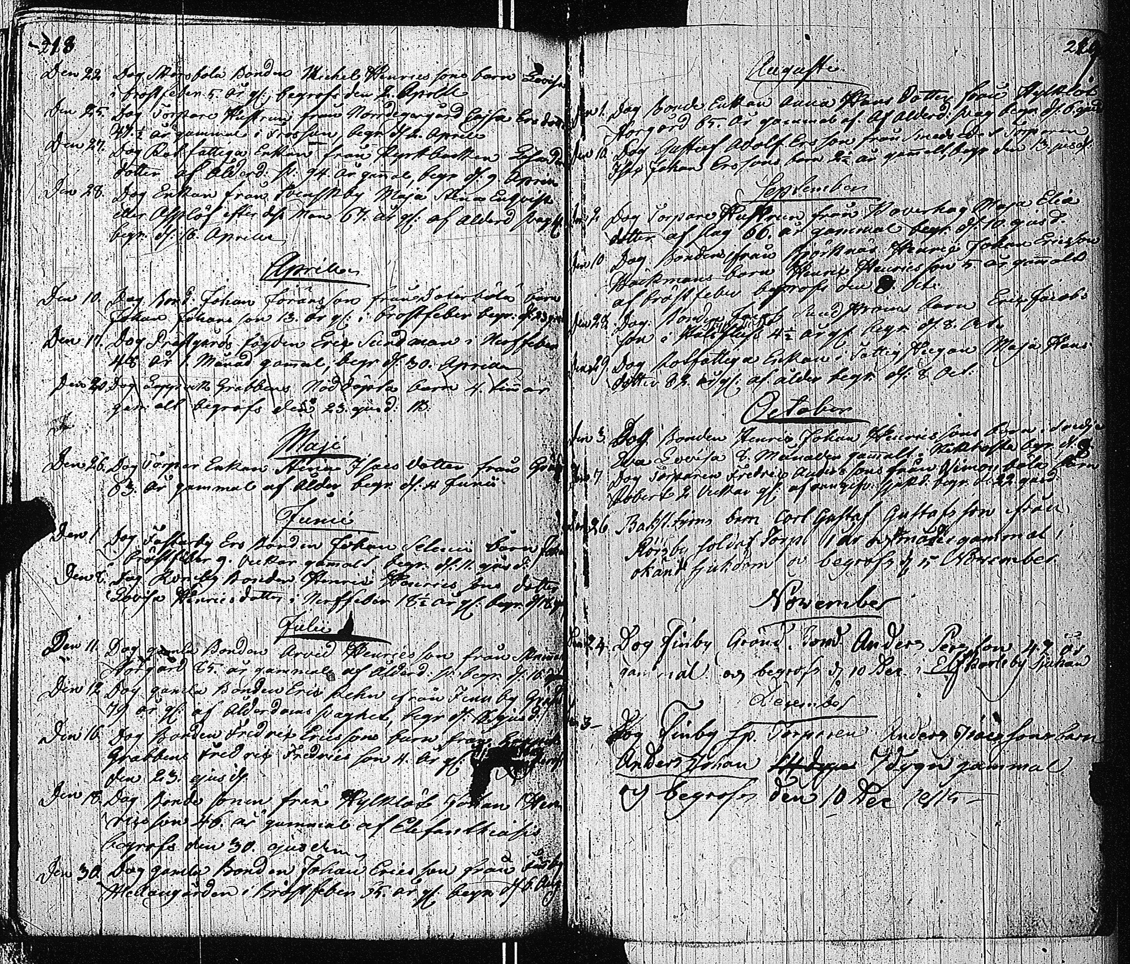 [ kuvat/171.jpg ]