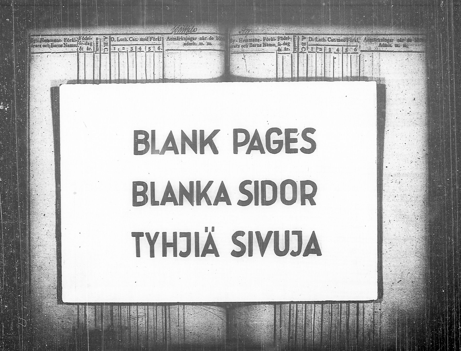 [ kuvat/238.jpg ]