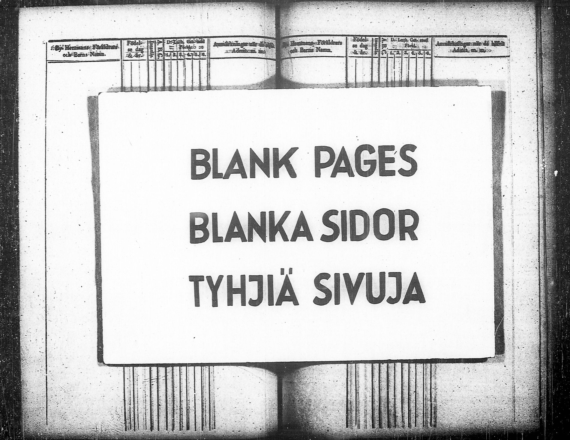 [ kuvat/429.jpg ]