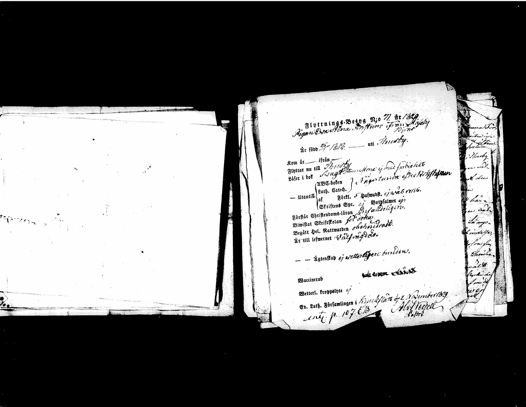 [ kuvat/229.jpg ]