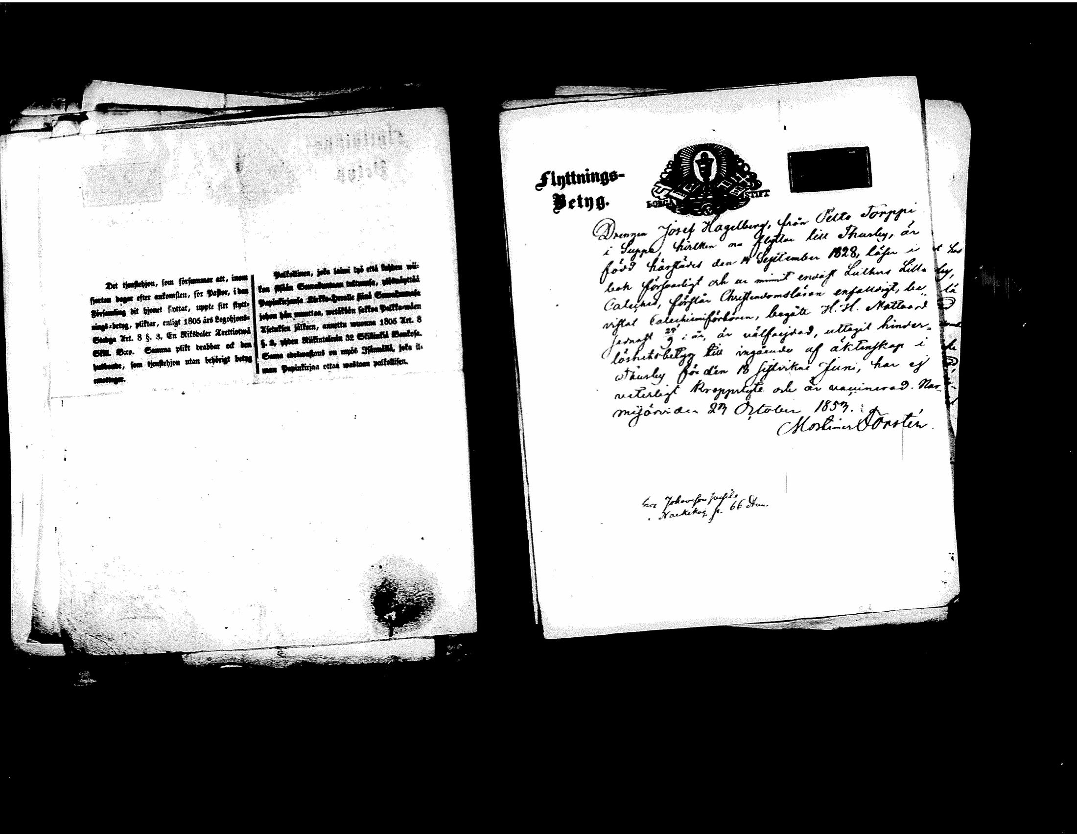 [ kuvat/392.jpg ]