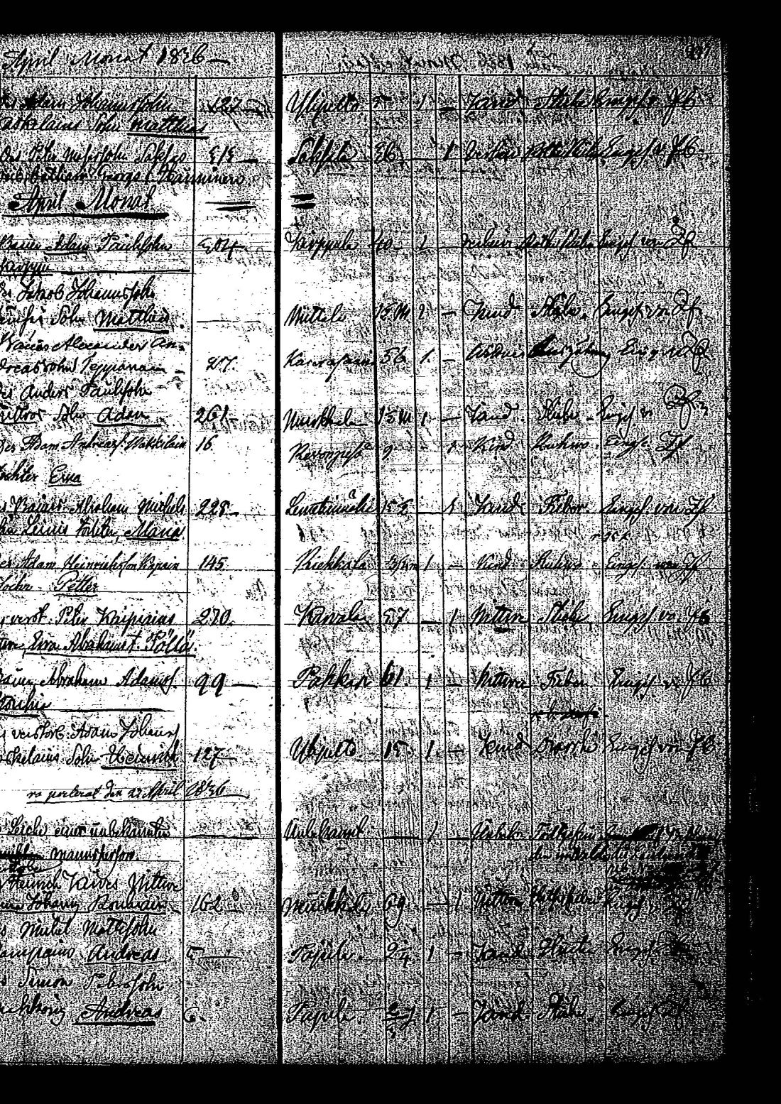 [ kuvat/205.jpg ]