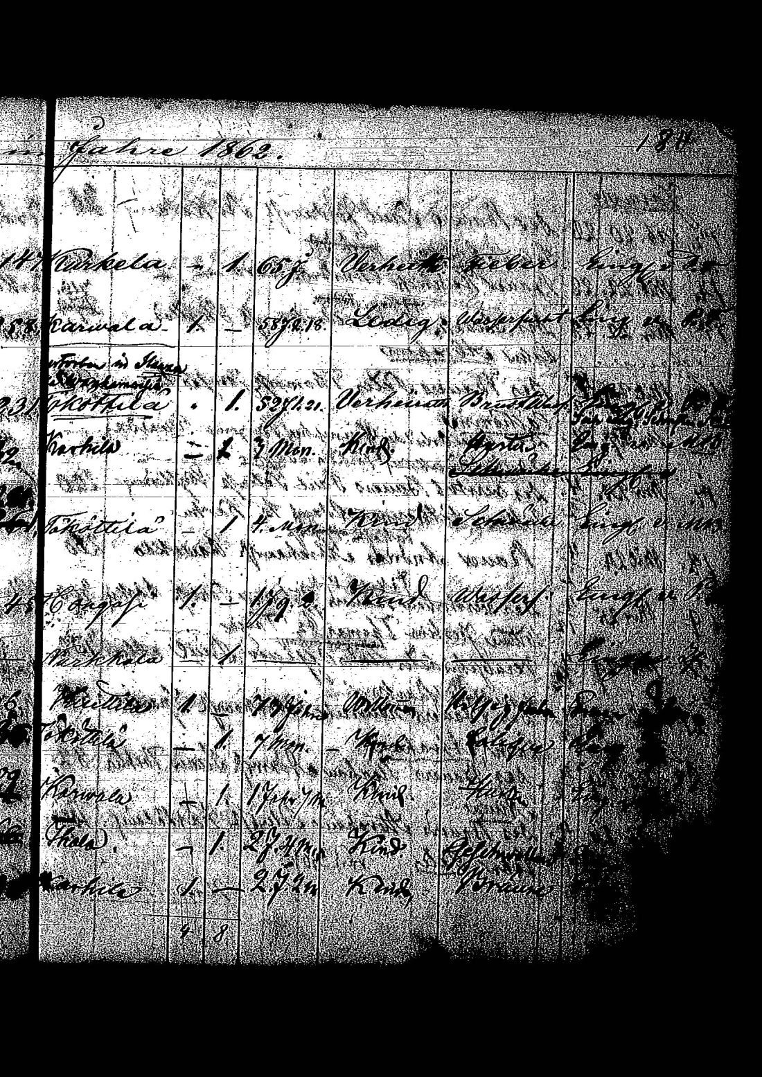 [ kuvat/394.jpg ]