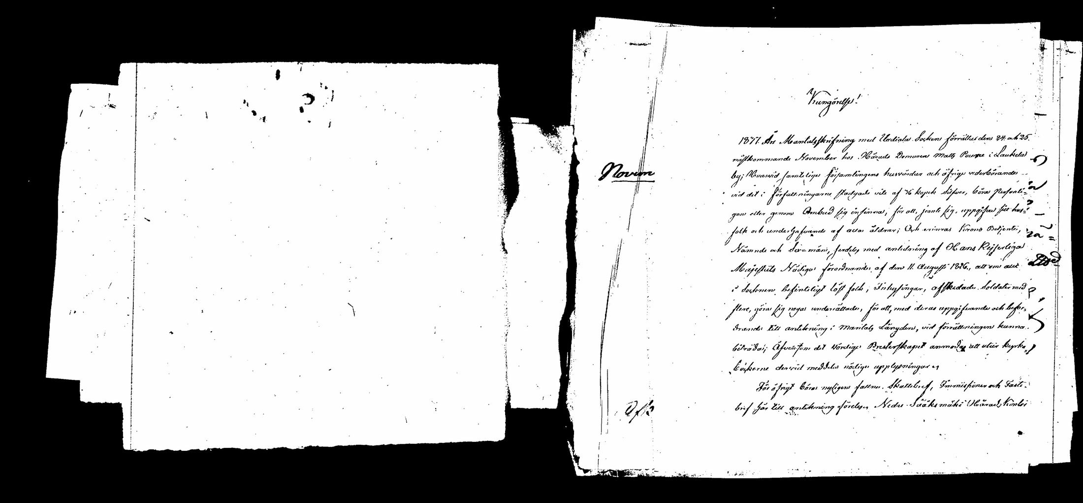 [ kuvat/416.jpg ]