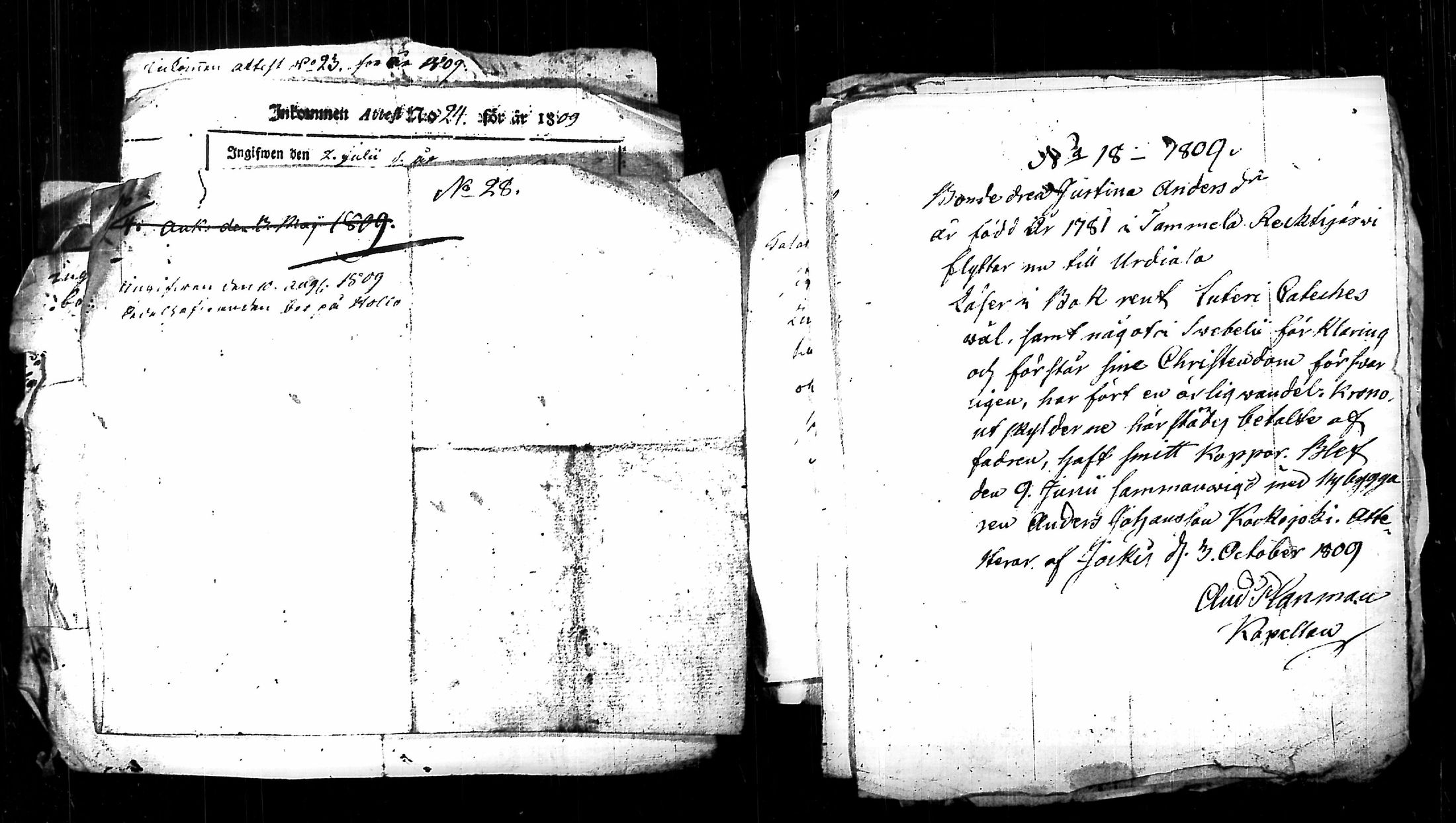 [ kuvat/1068.jpg ]