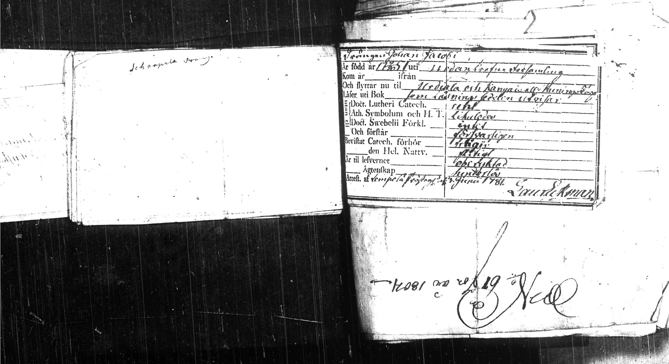 [ kuvat/701.jpg ]