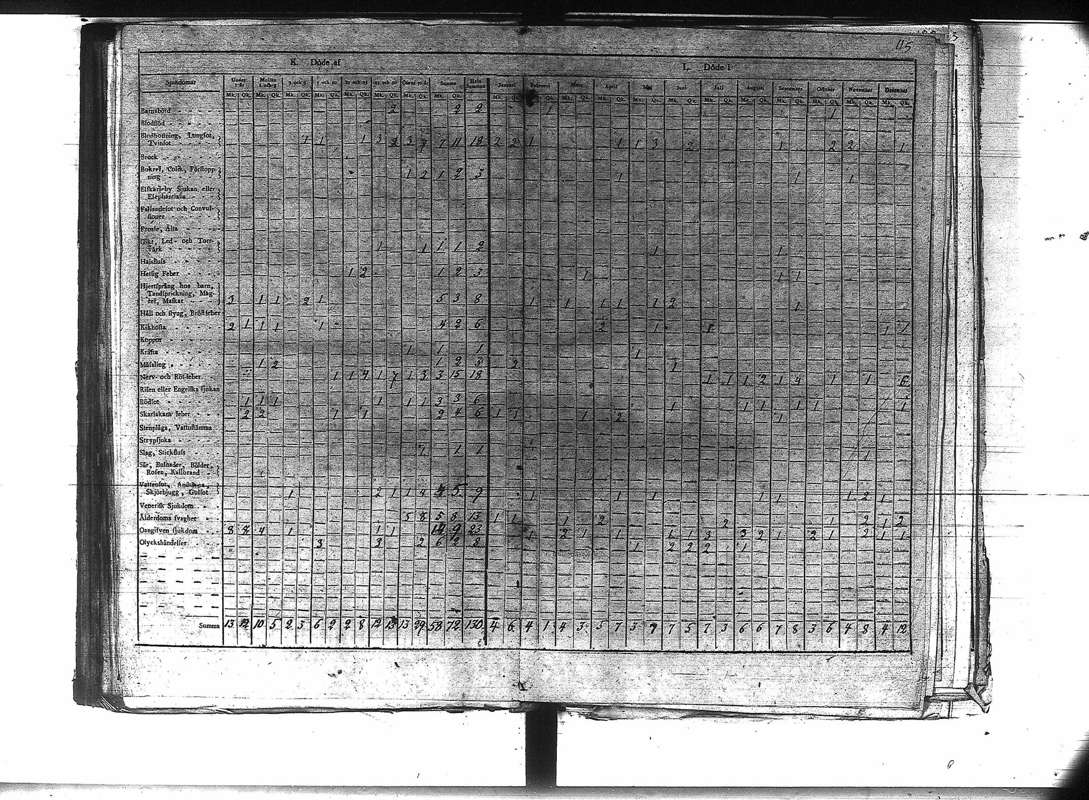 [ kuvat/117.jpg ]