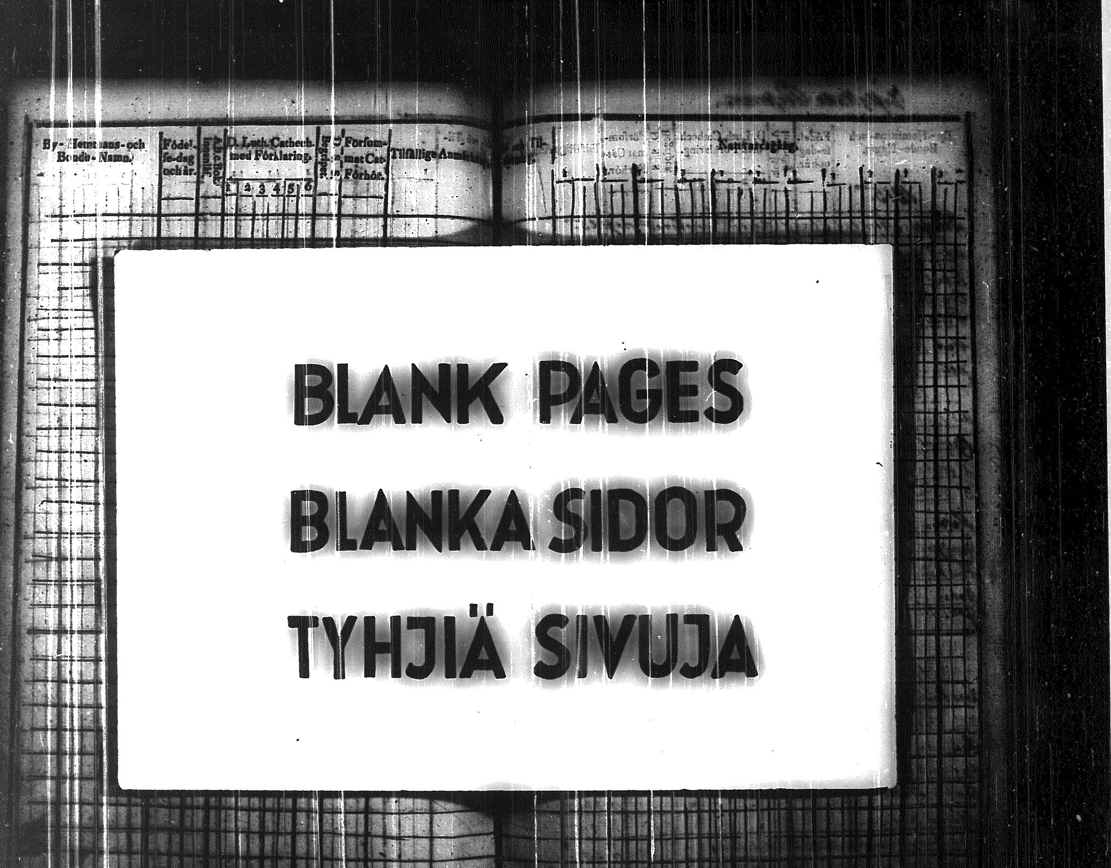 [ kuvat/295.jpg ]