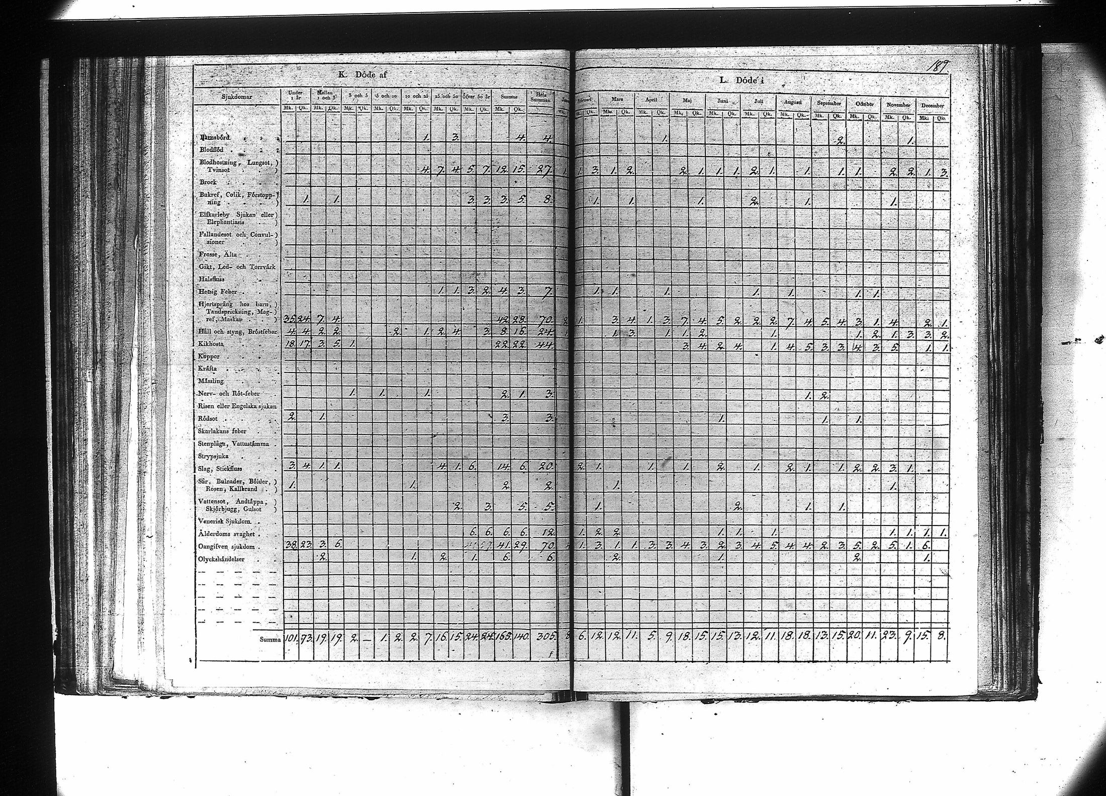 [ kuvat/191.jpg ]