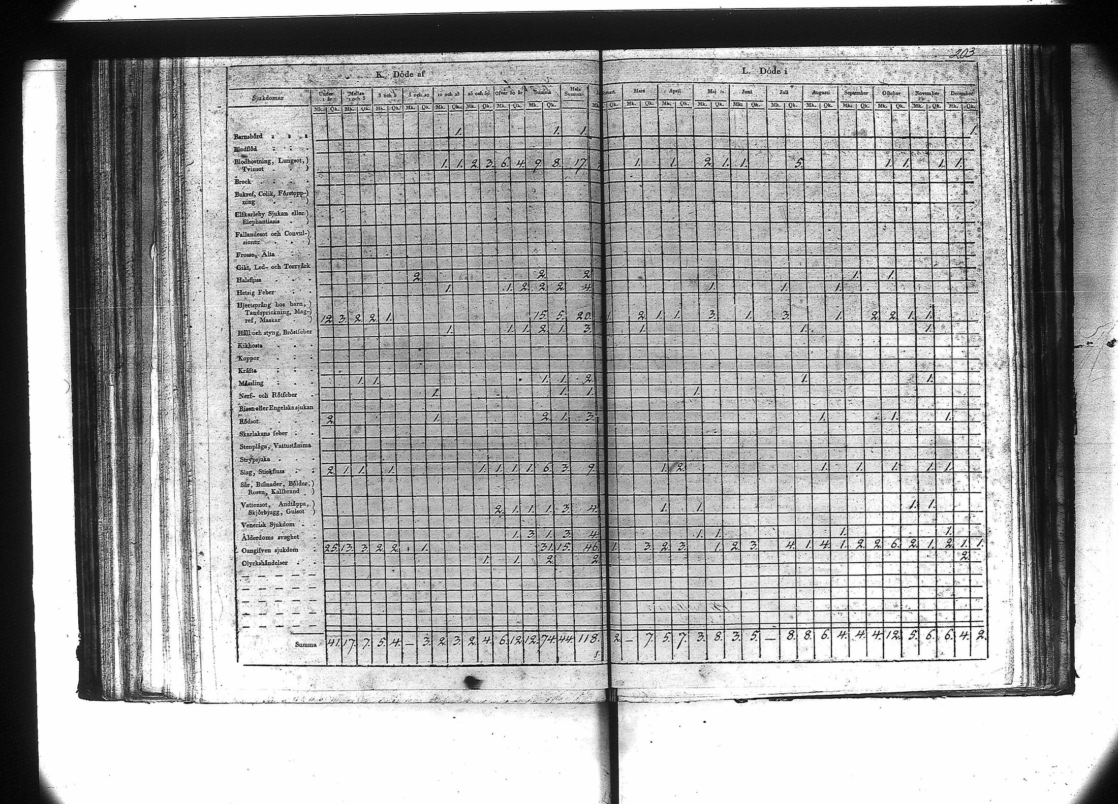 [ kuvat/205.jpg ]