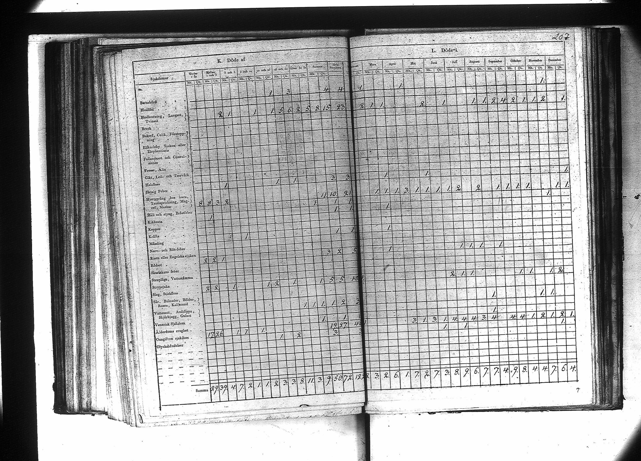 [ kuvat/209.jpg ]