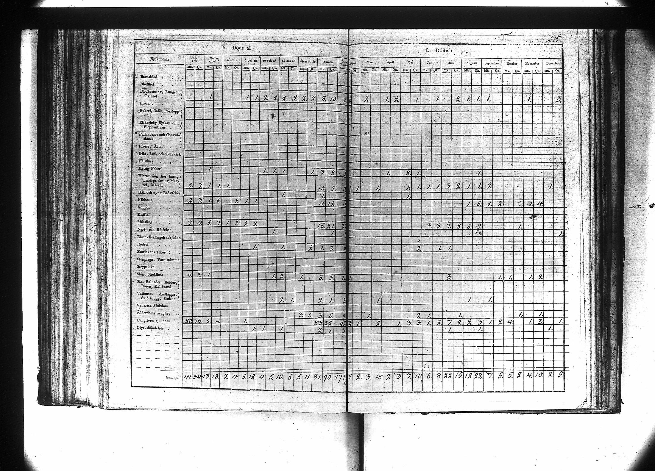 [ kuvat/217.jpg ]