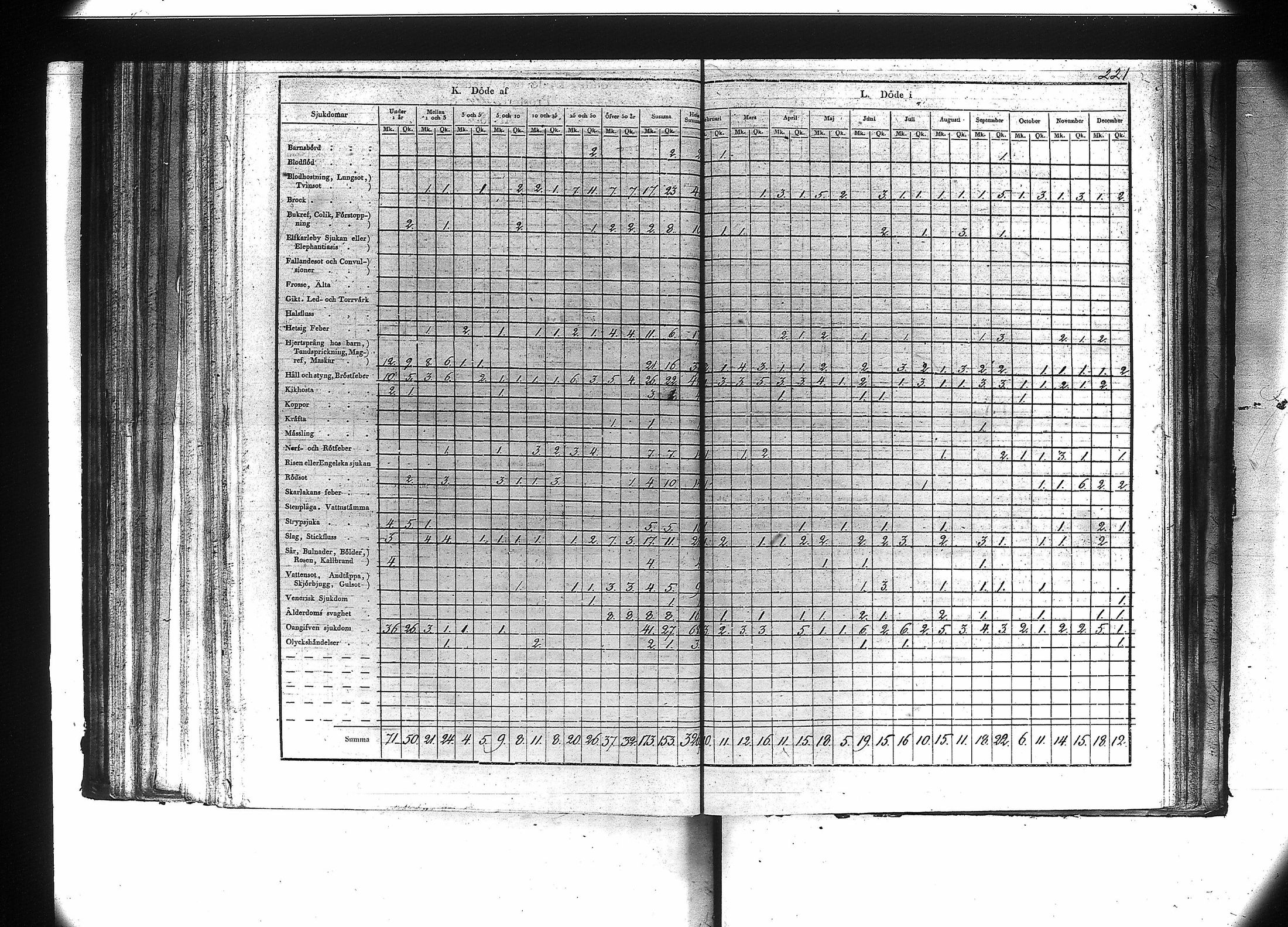 [ kuvat/223.jpg ]