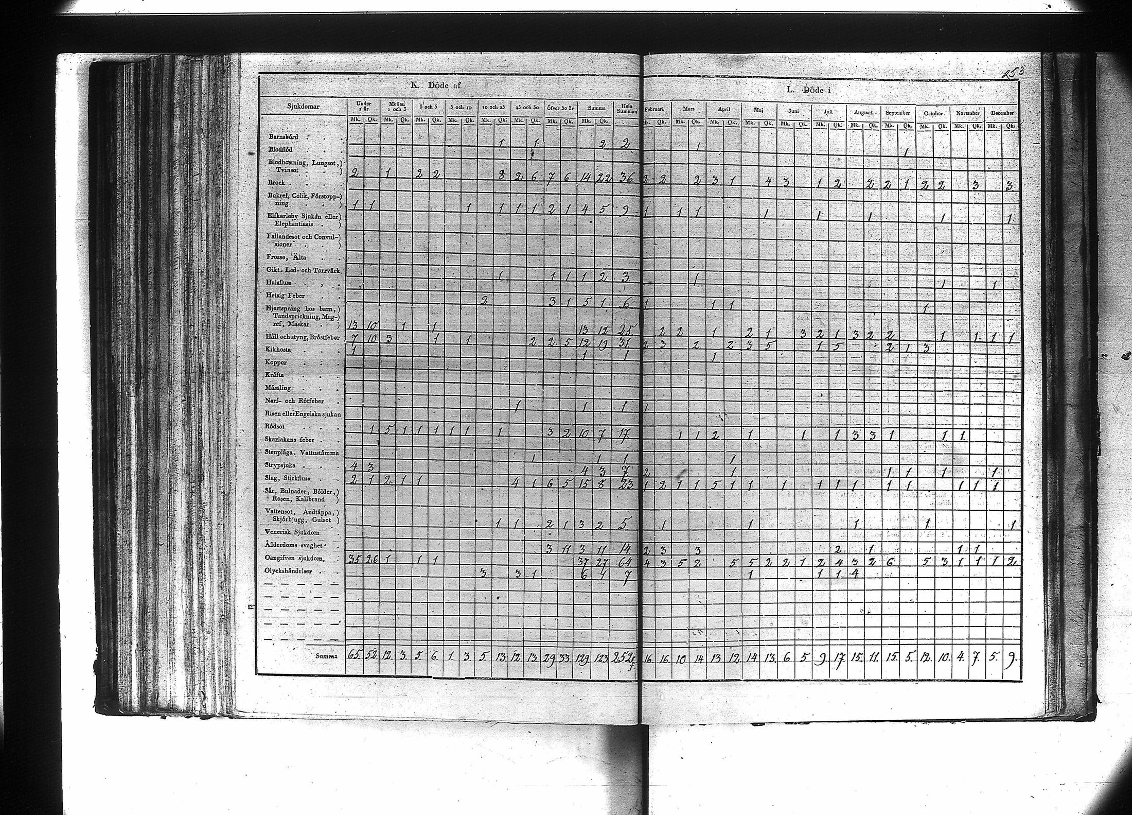 [ kuvat/255.jpg ]