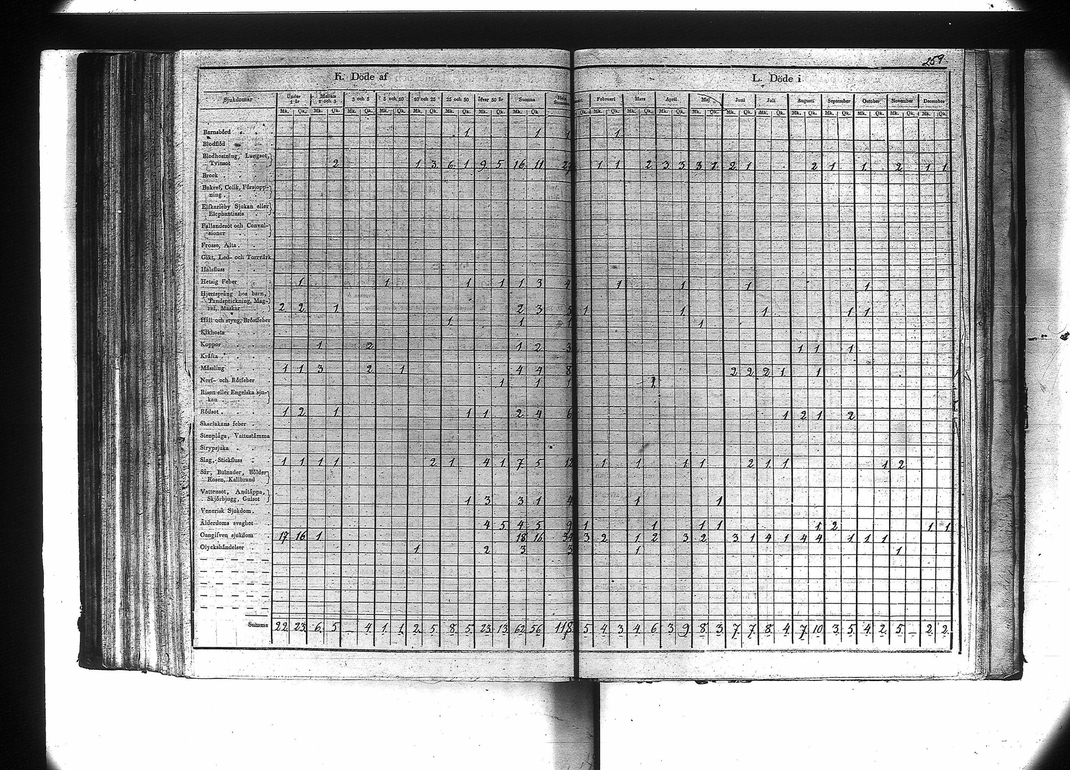 [ kuvat/261.jpg ]