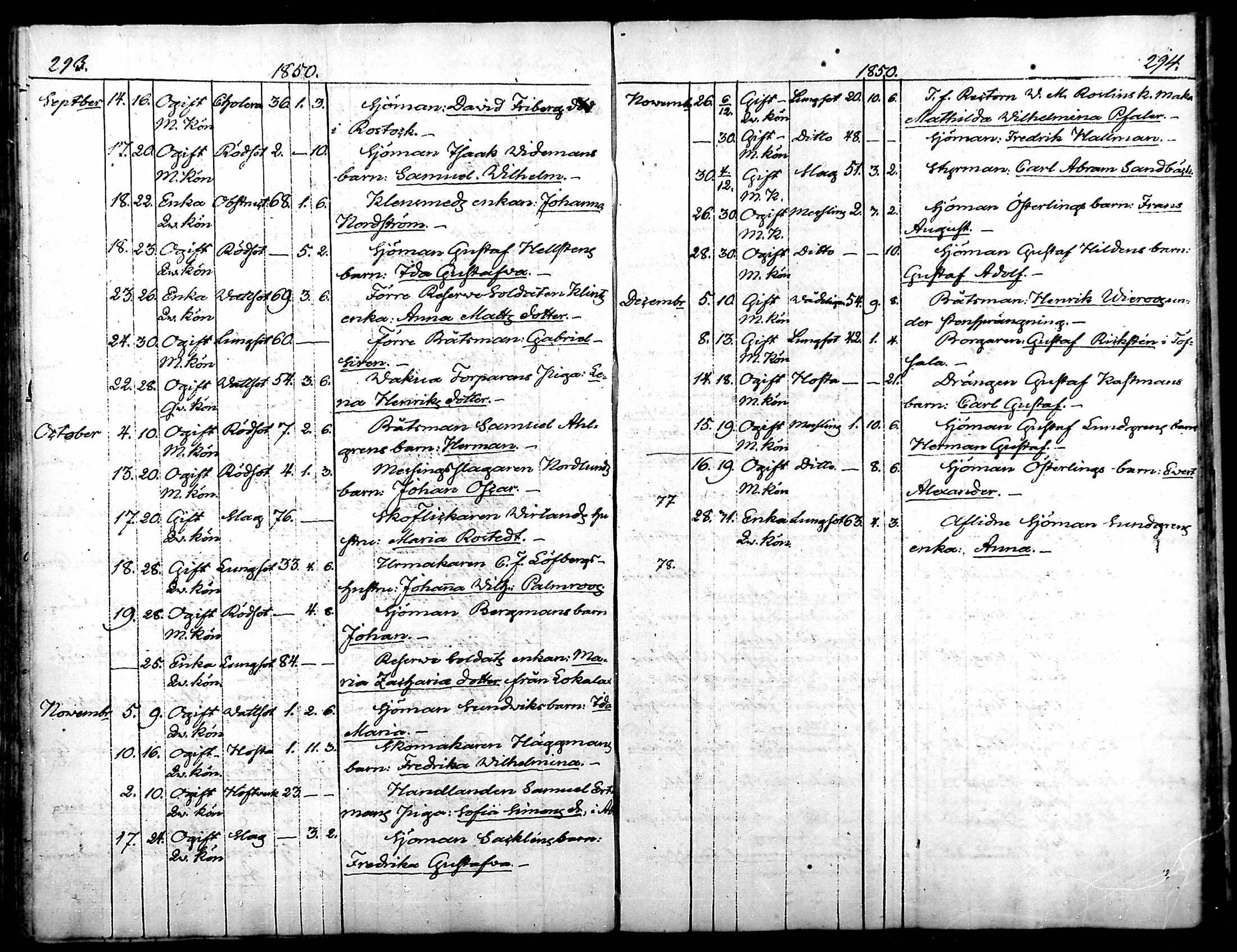 [ kuvat/156.jpg ]
