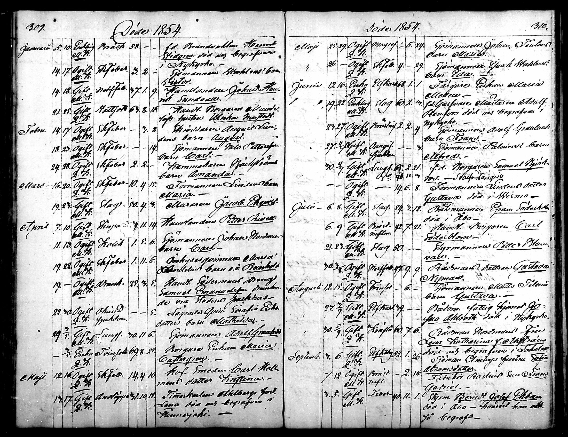 [ kuvat/164.jpg ]