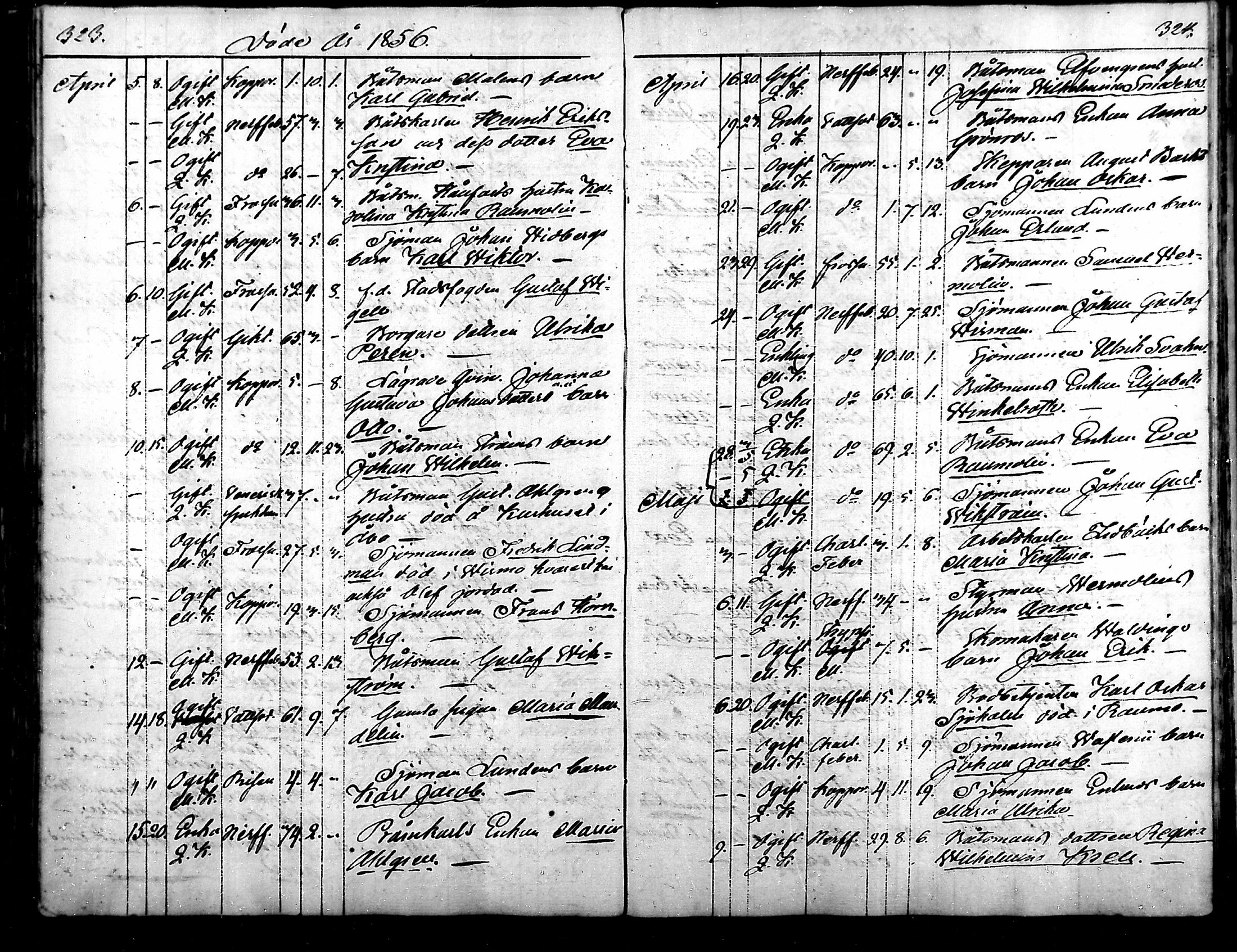 [ kuvat/171.jpg ]