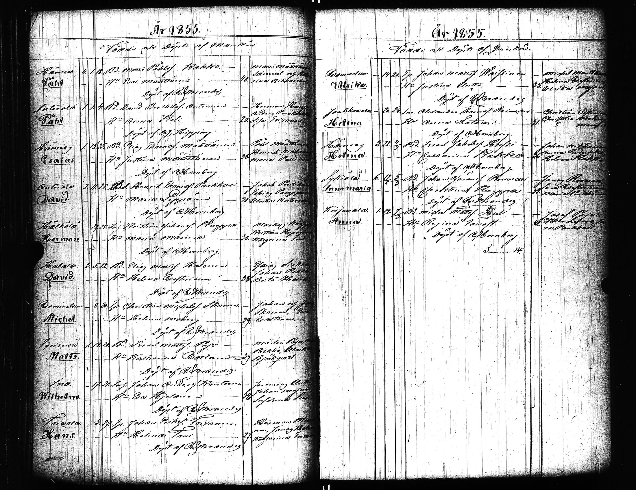 [ kuvat/151.jpg ]