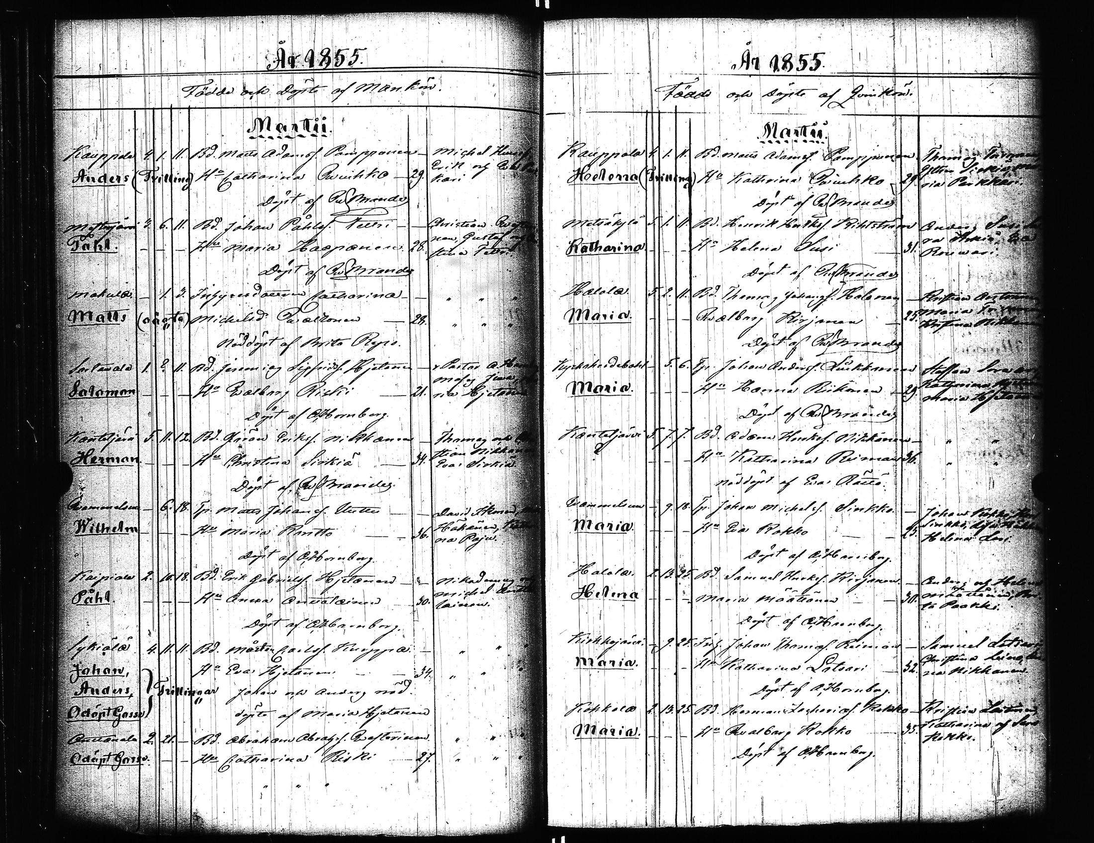 [ kuvat/153.jpg ]
