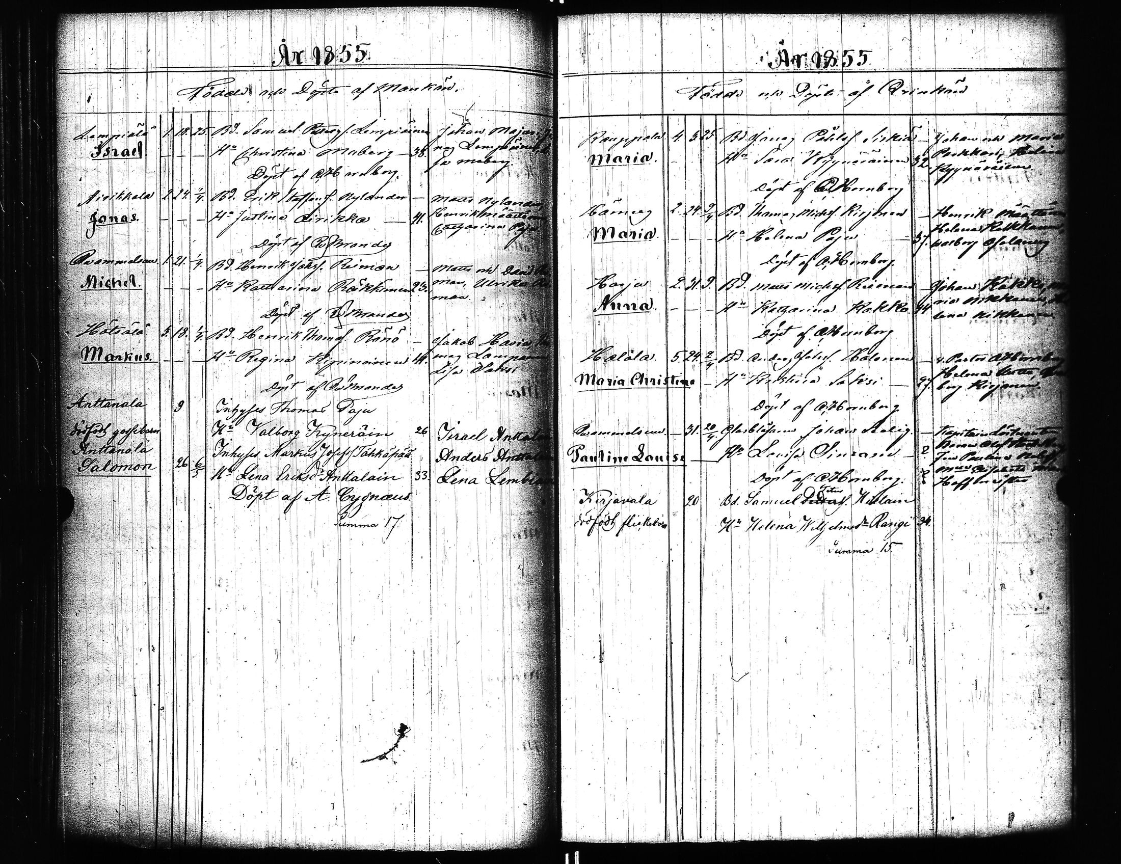 [ kuvat/154.jpg ]