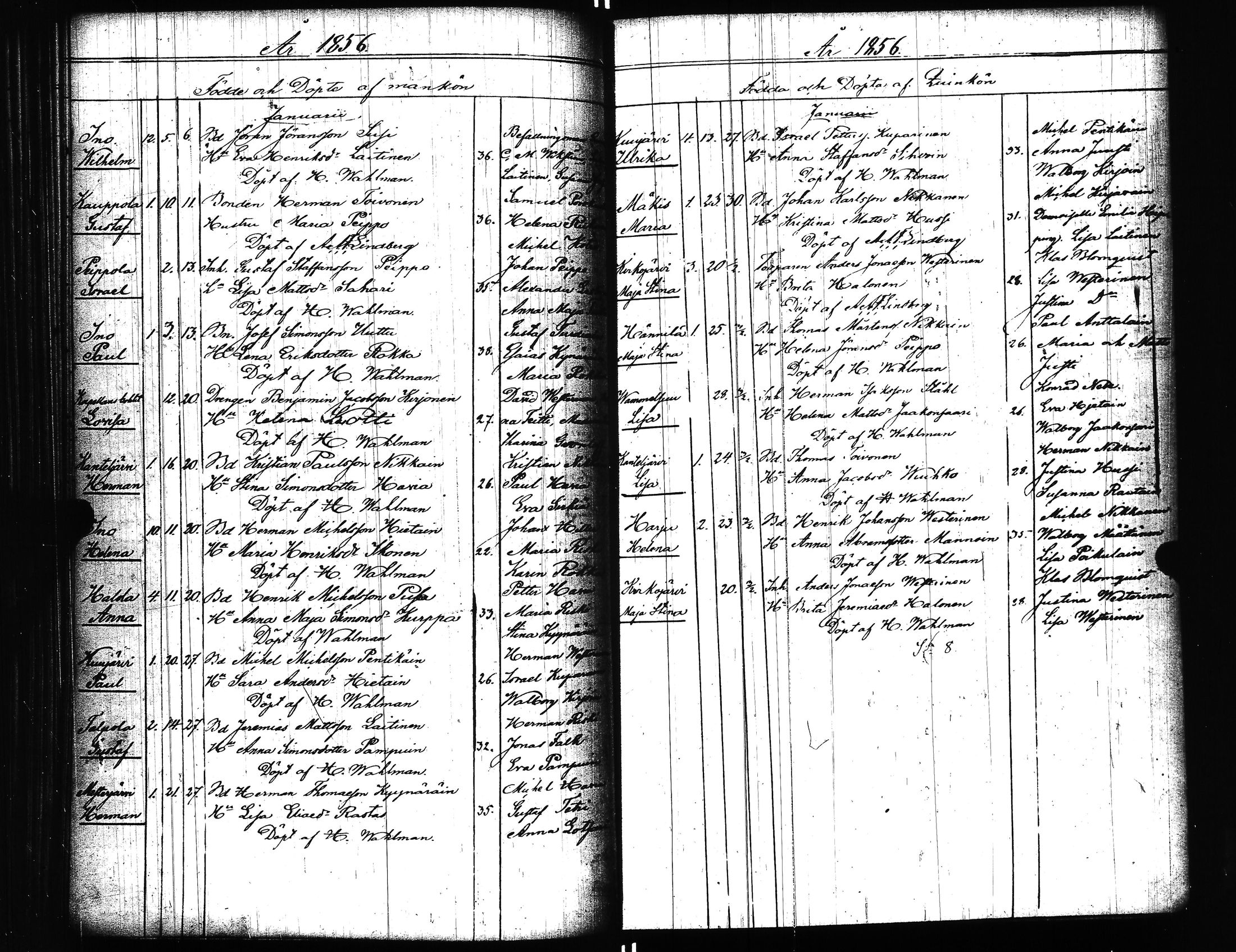 [ kuvat/171.jpg ]
