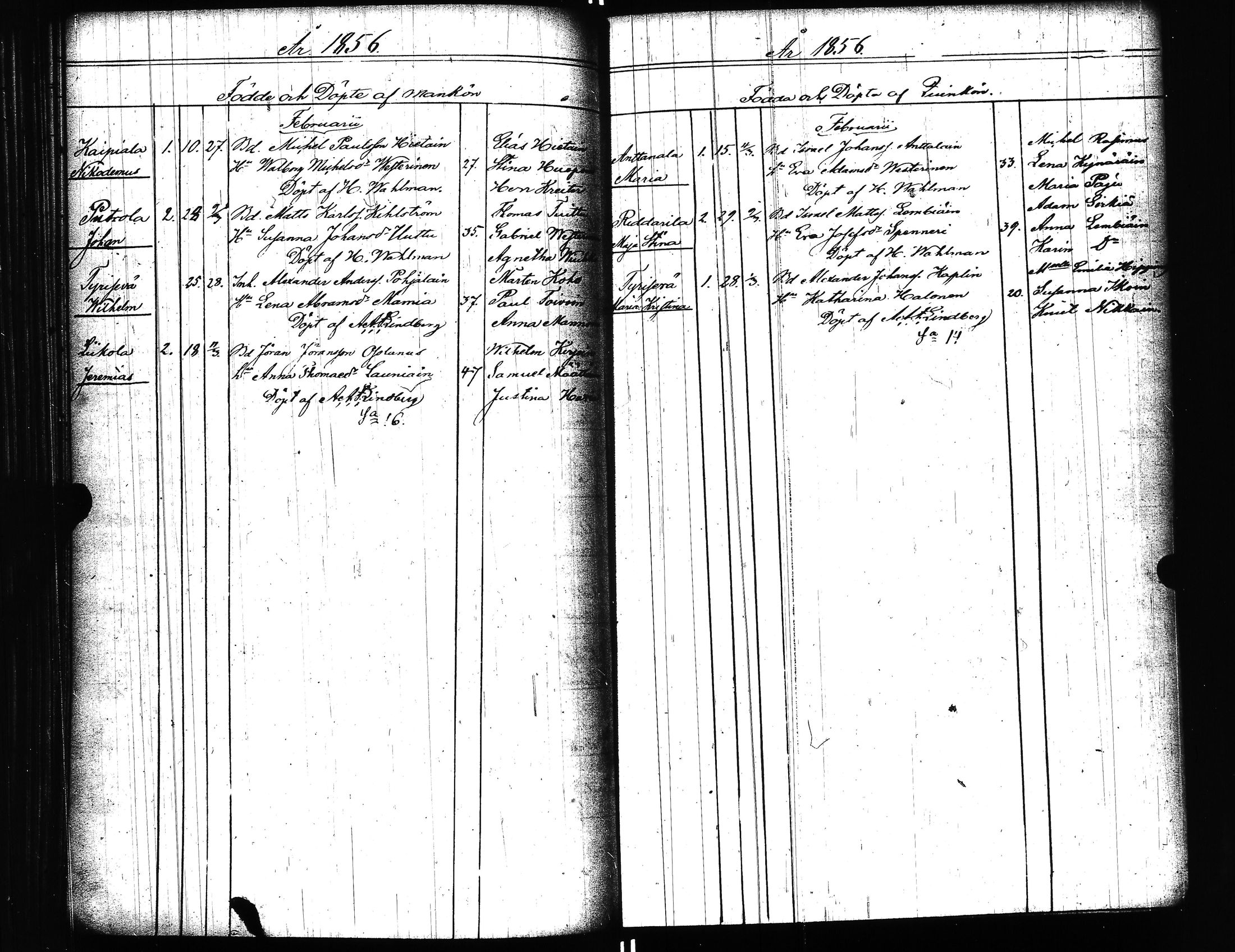 [ kuvat/174.jpg ]