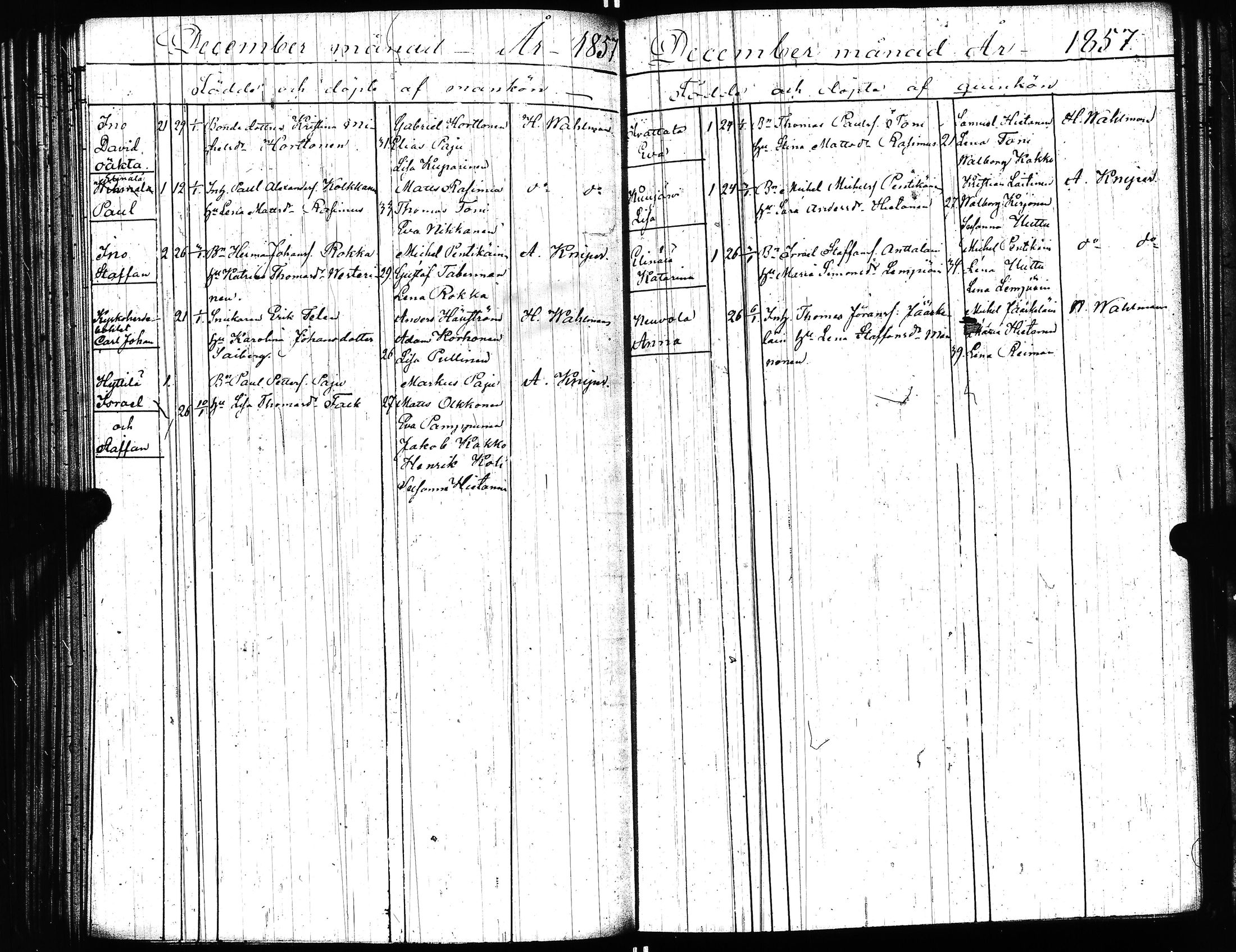 [ kuvat/207.jpg ]
