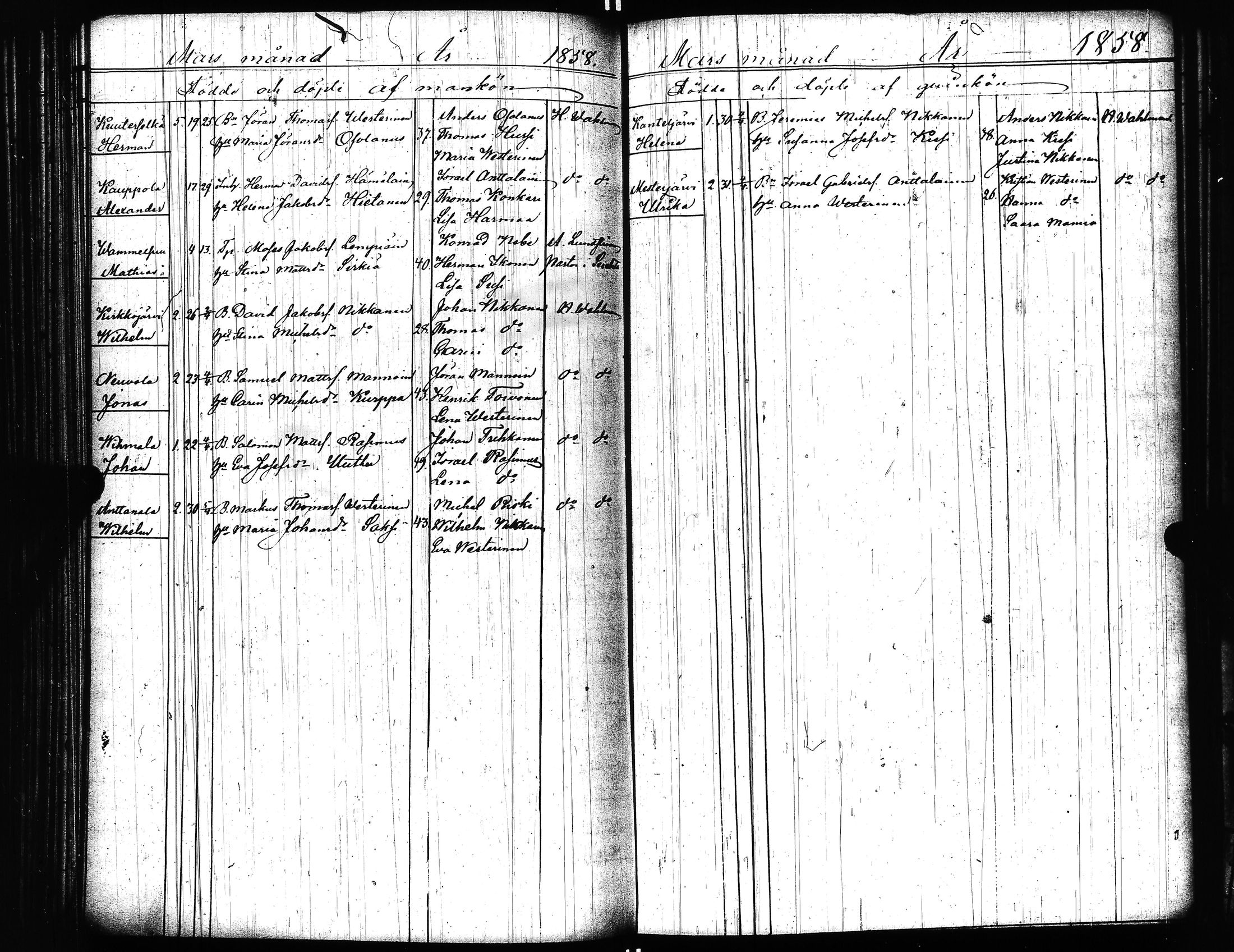 [ kuvat/213.jpg ]