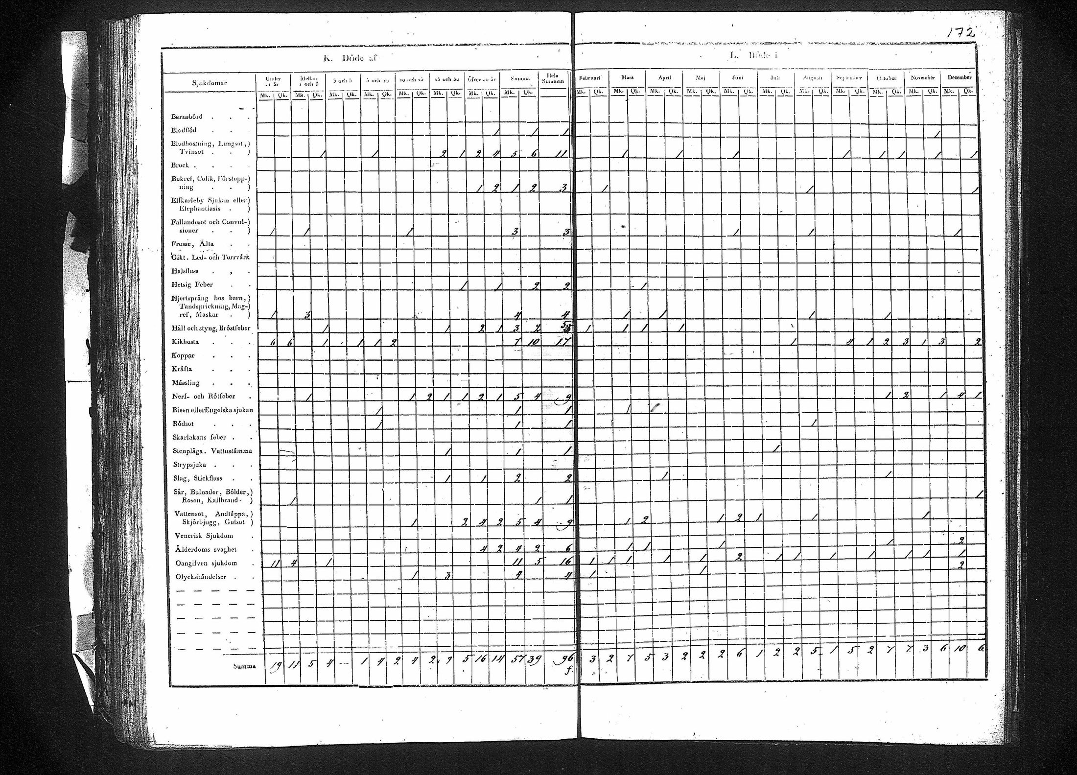 [ kuvat/175.jpg ]