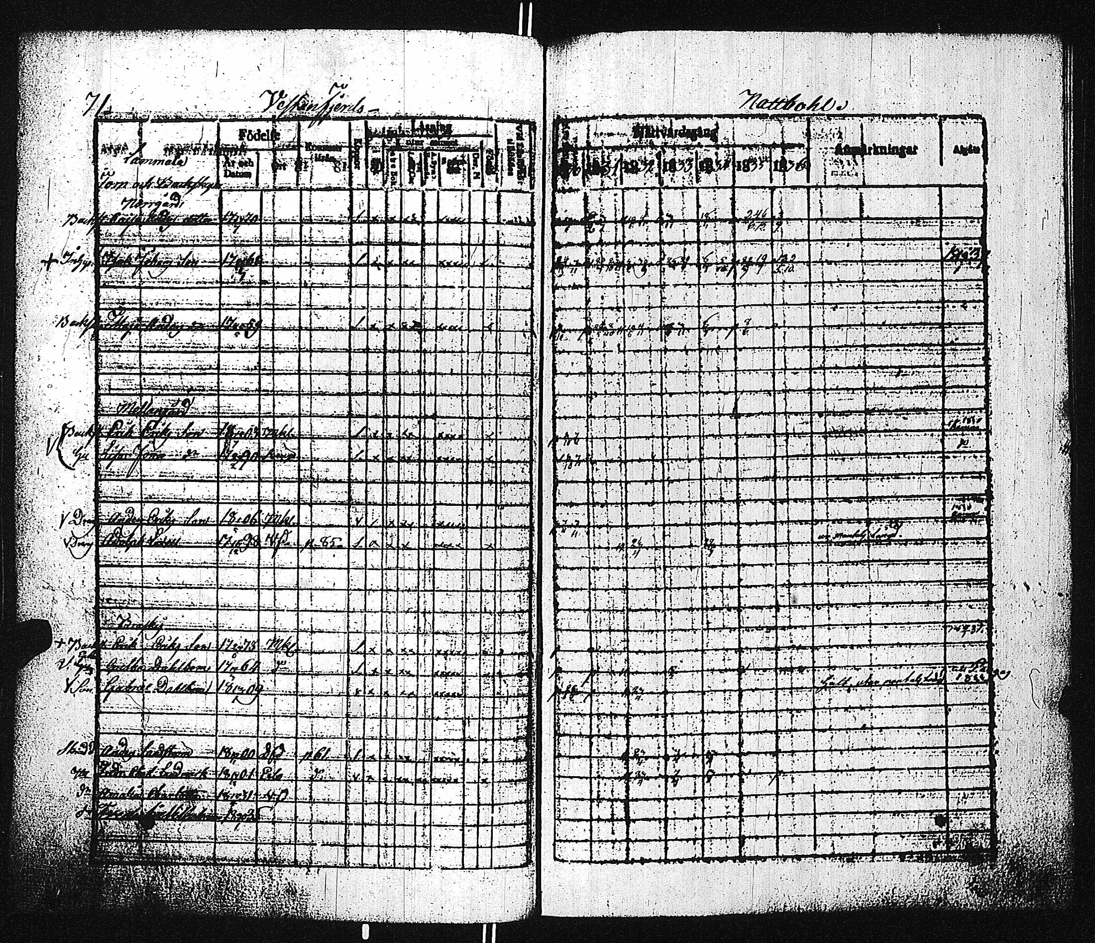 [ kuvat/169.jpg ]