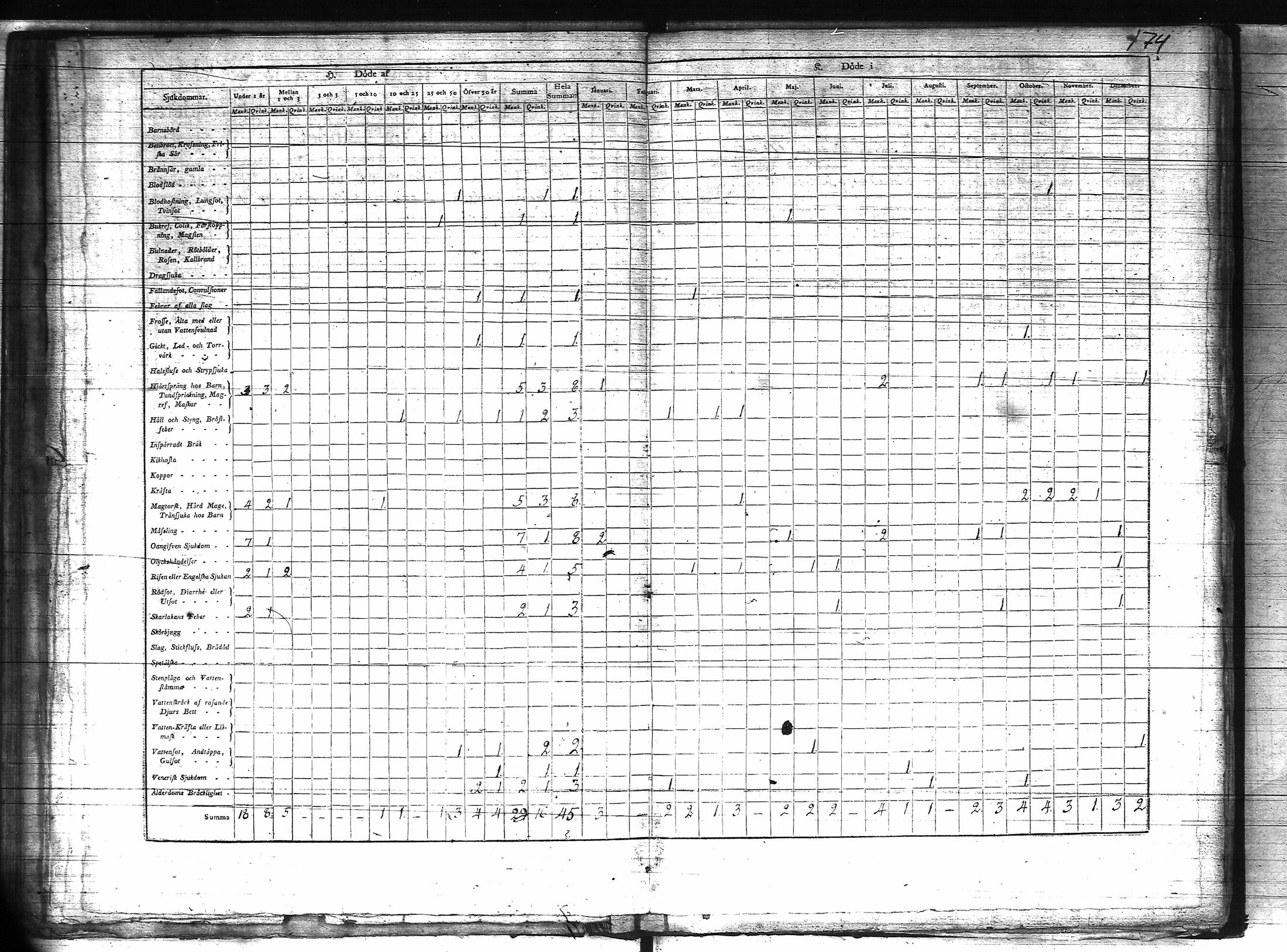 [ kuvat/175.jpg ]