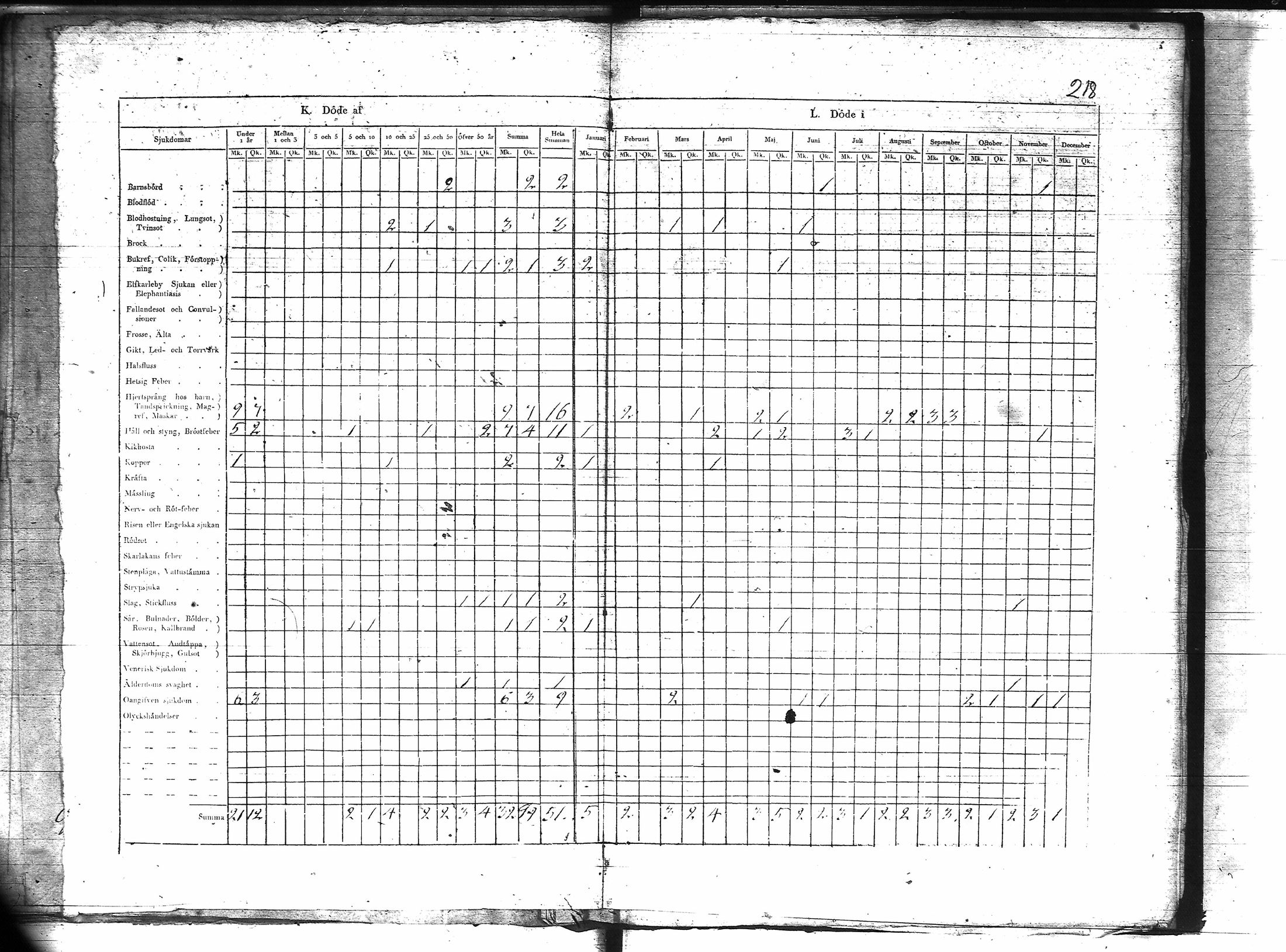 [ kuvat/224.jpg ]