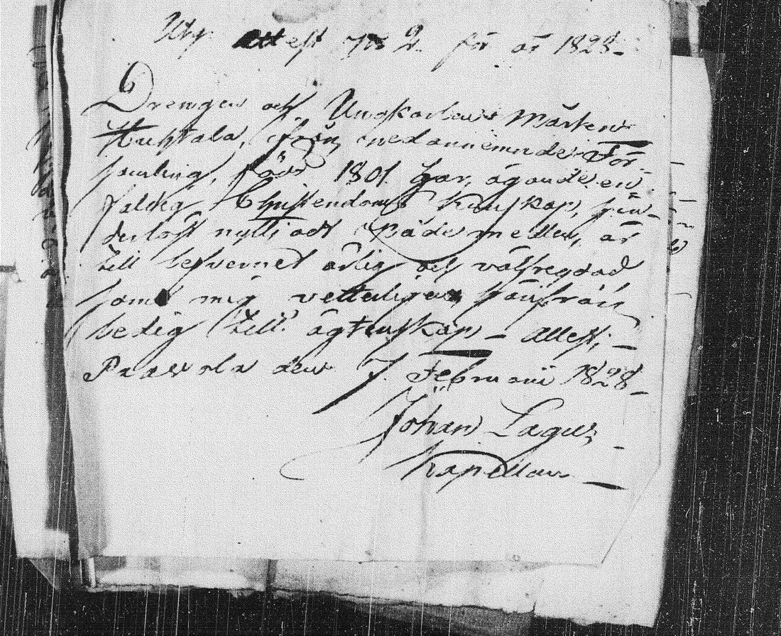 [ kuvat/120.jpg ]