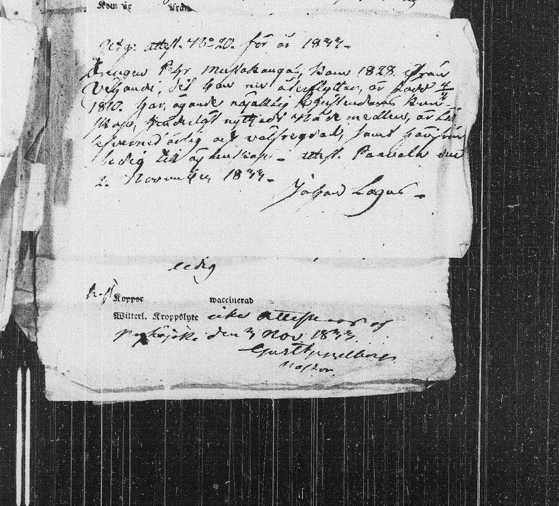 [ kuvat/196.jpg ]