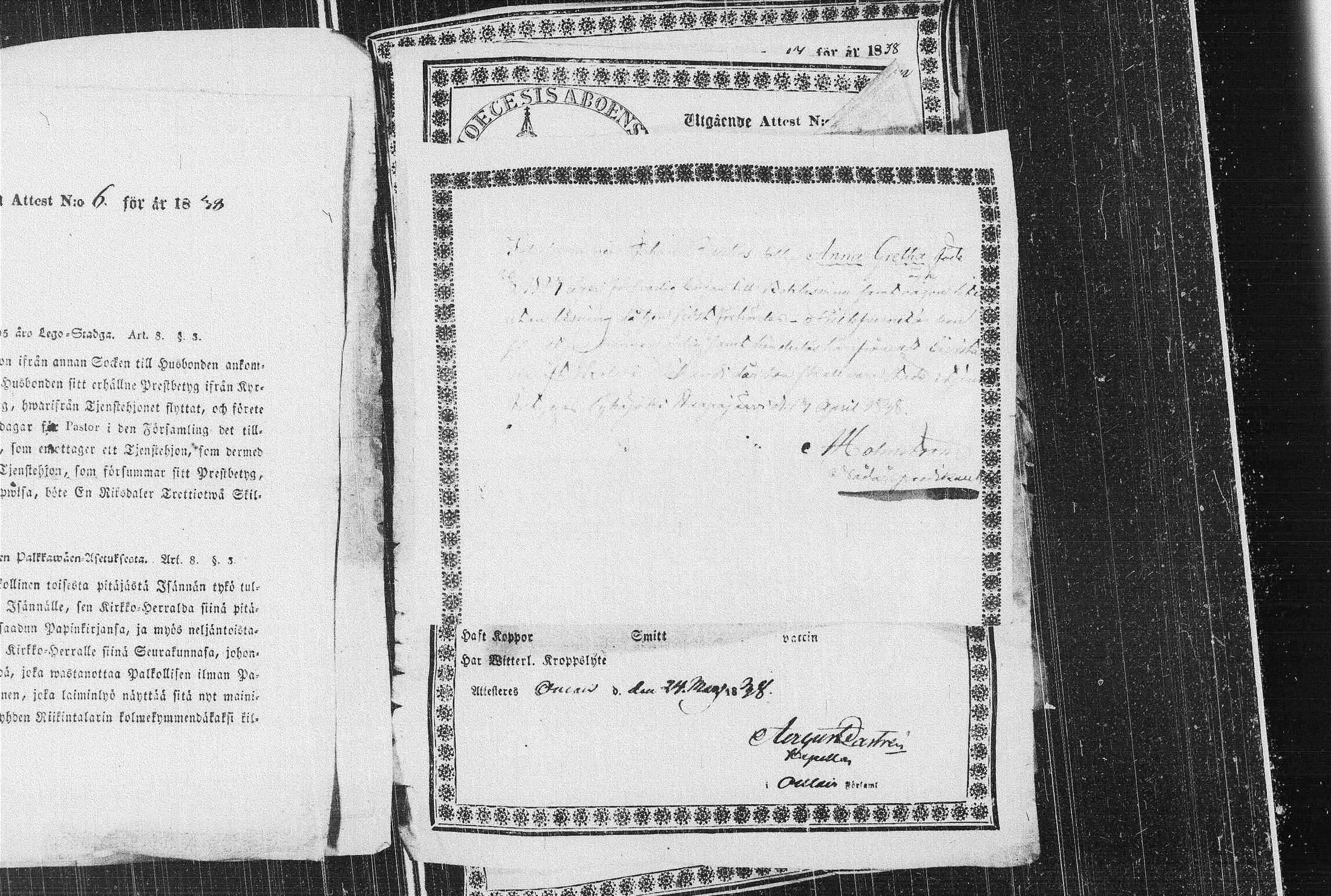 [ kuvat/273.jpg ]