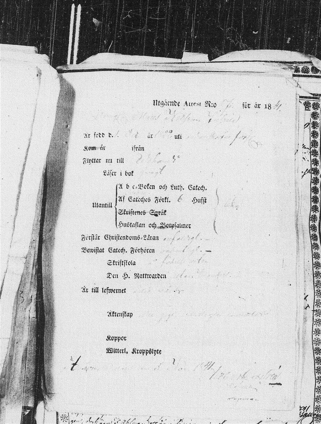 [ kuvat/342.jpg ]