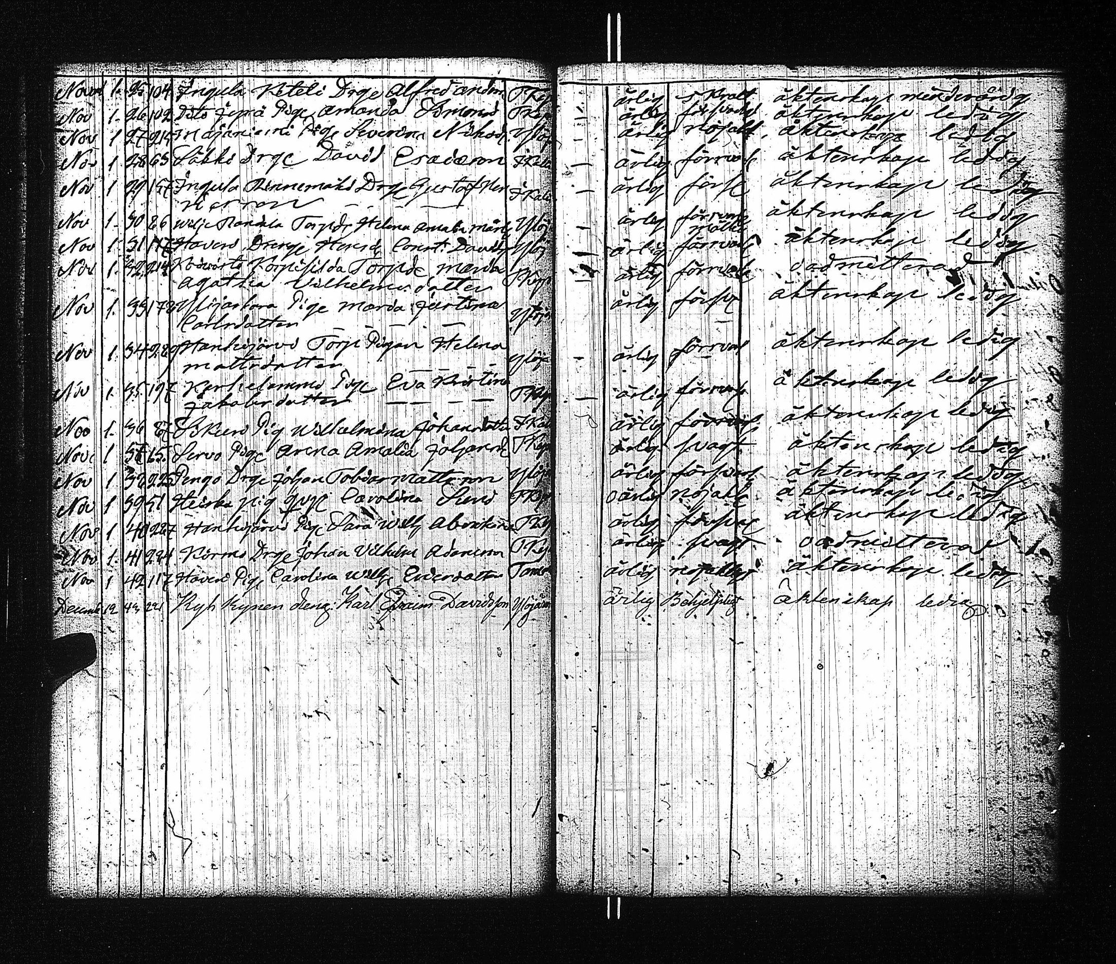 [ kuvat/40.jpg ]