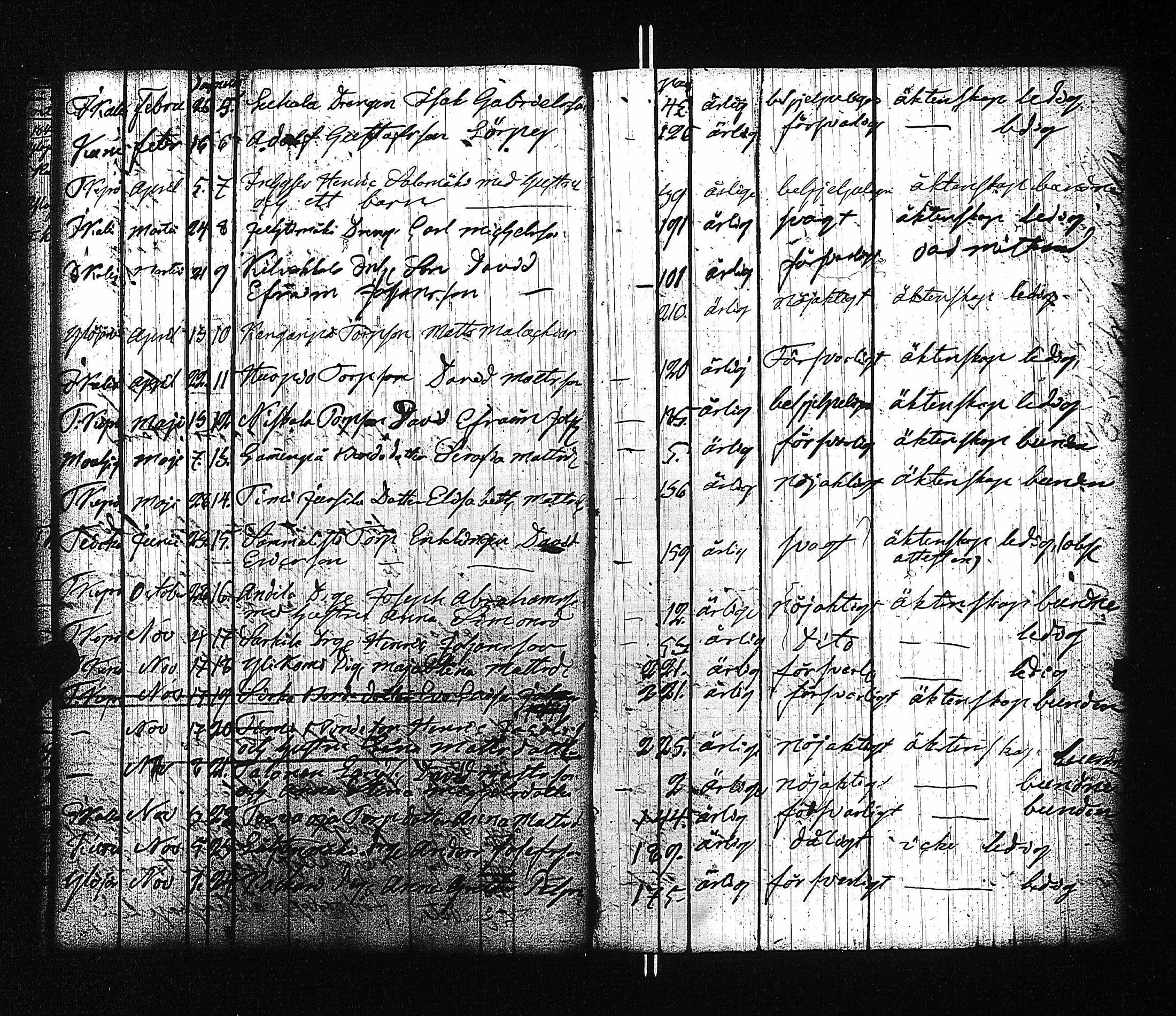 [ kuvat/67.jpg ]